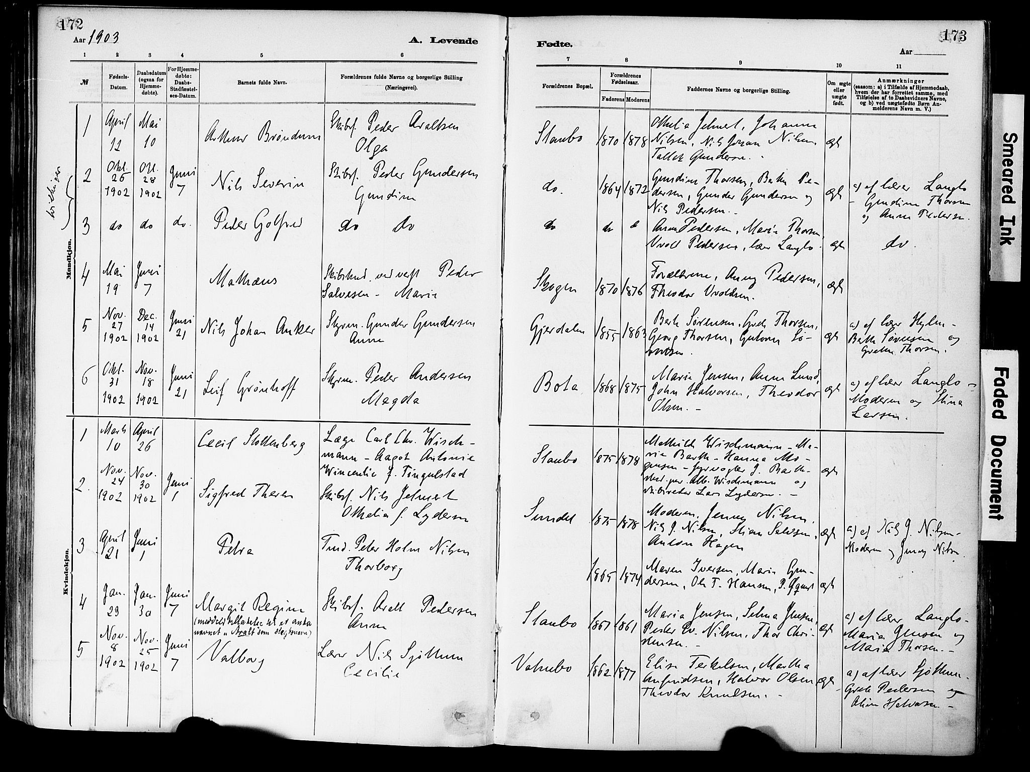 Dypvåg sokneprestkontor, SAK/1111-0007/F/Fa/Fab/L0001: Parish register (official) no. A 1, 1885-1912, p. 172-173