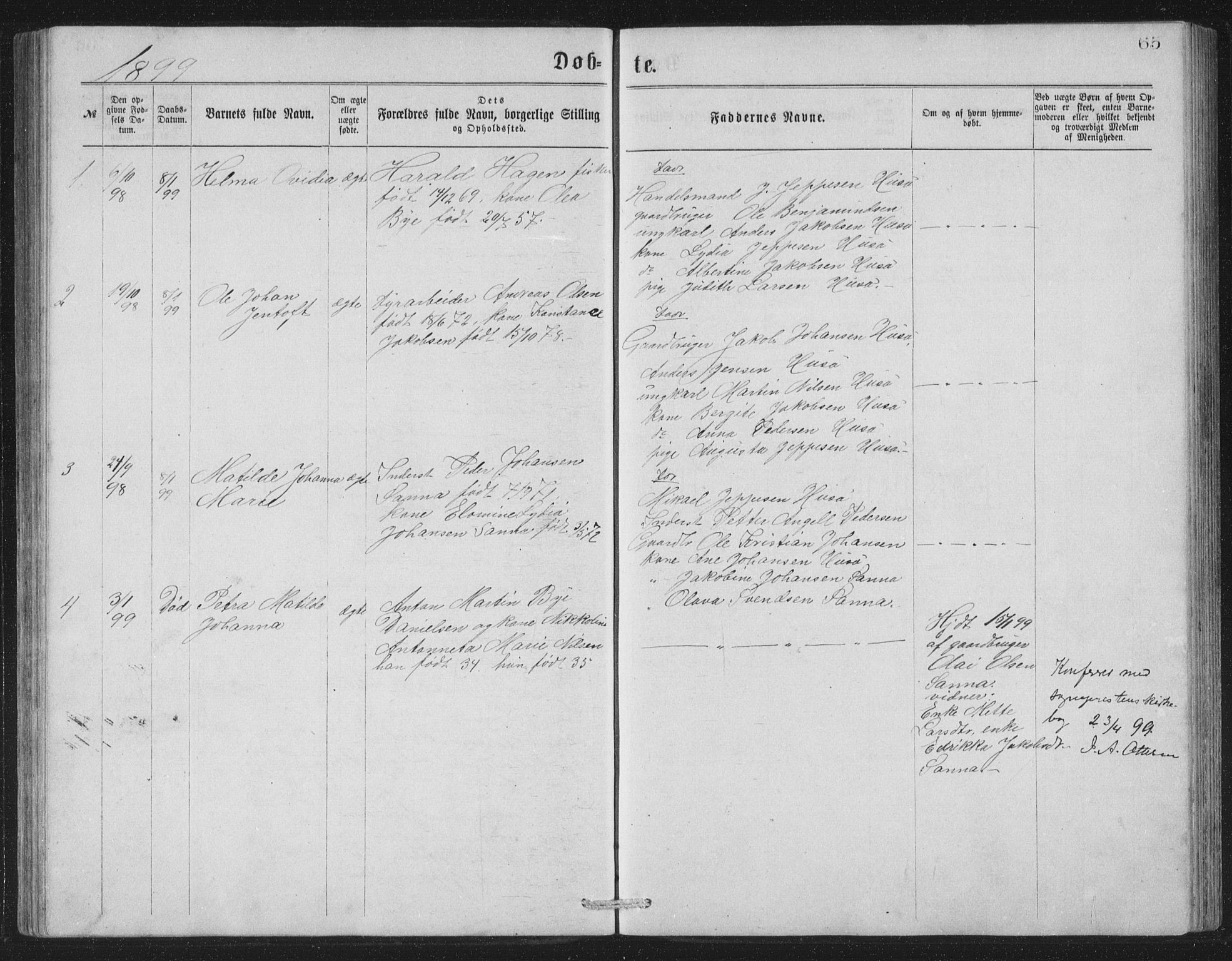 Ministerialprotokoller, klokkerbøker og fødselsregistre - Nordland, AV/SAT-A-1459/840/L0582: Parish register (copy) no. 840C02, 1874-1900, p. 65