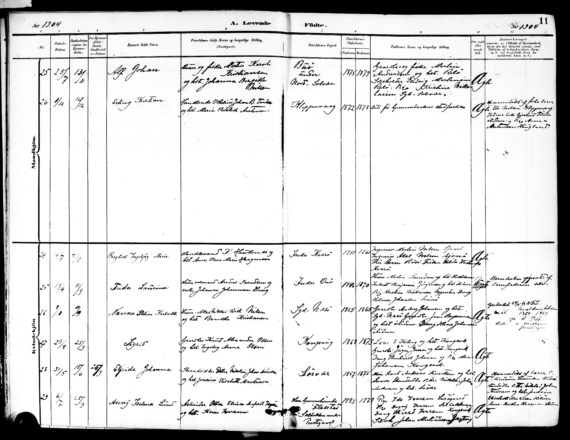 Ministerialprotokoller, klokkerbøker og fødselsregistre - Nordland, AV/SAT-A-1459/839/L0569: Parish register (official) no. 839A06, 1903-1922, p. 11