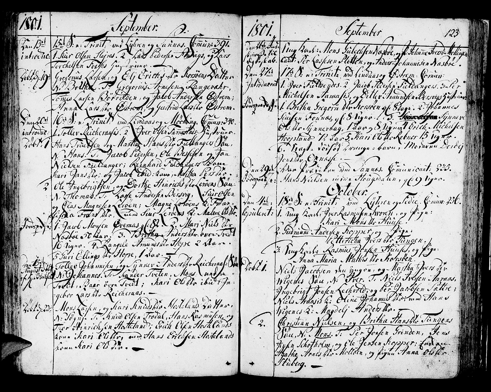 Lindås Sokneprestembete, AV/SAB-A-76701/H/Haa/Haaa/L0005: Parish register (official) no. A 5, 1791-1813, p. 123