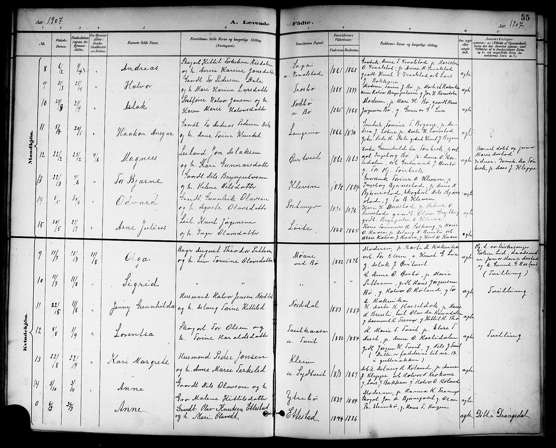 Drangedal kirkebøker, SAKO/A-258/G/Gb/L0002: Parish register (copy) no. II 2, 1895-1918, p. 55