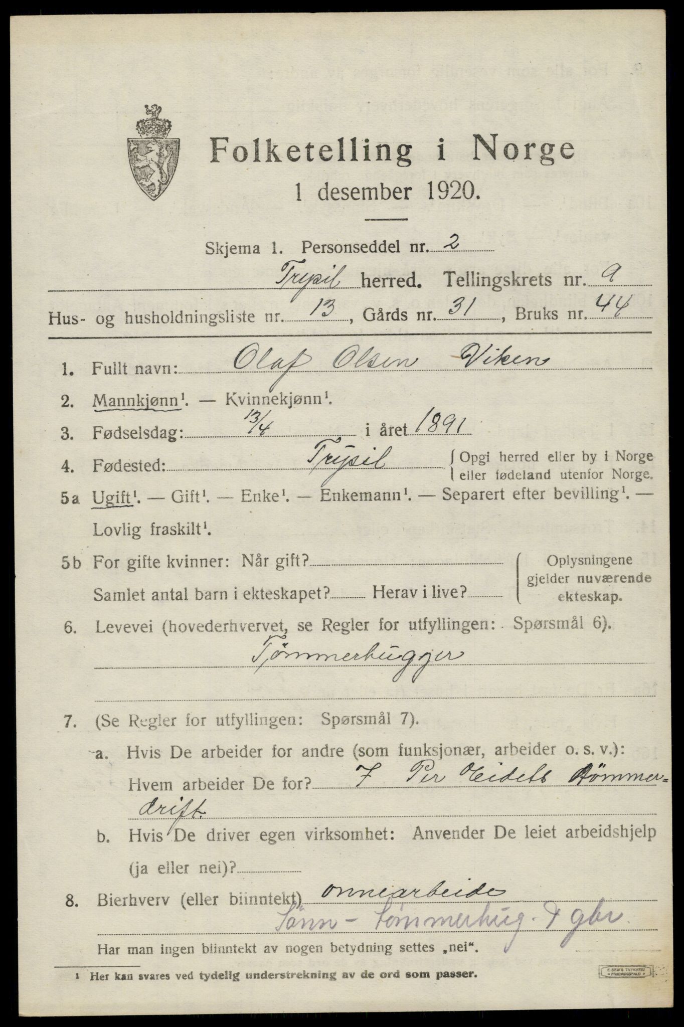 SAH, 1920 census for Trysil, 1920, p. 6677