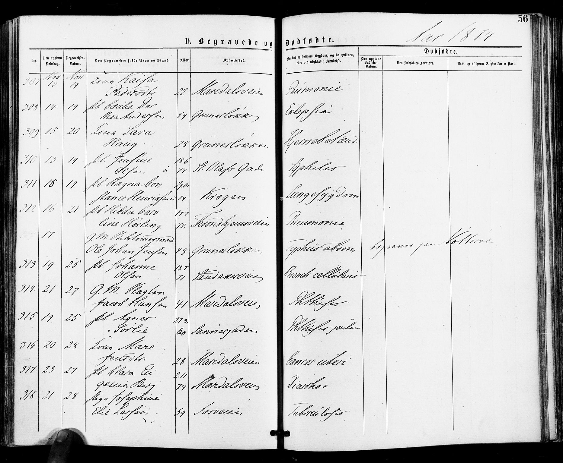 Gamle Aker prestekontor Kirkebøker, AV/SAO-A-10617a/F/L0004: Parish register (official) no. 4, 1872-1879, p. 56