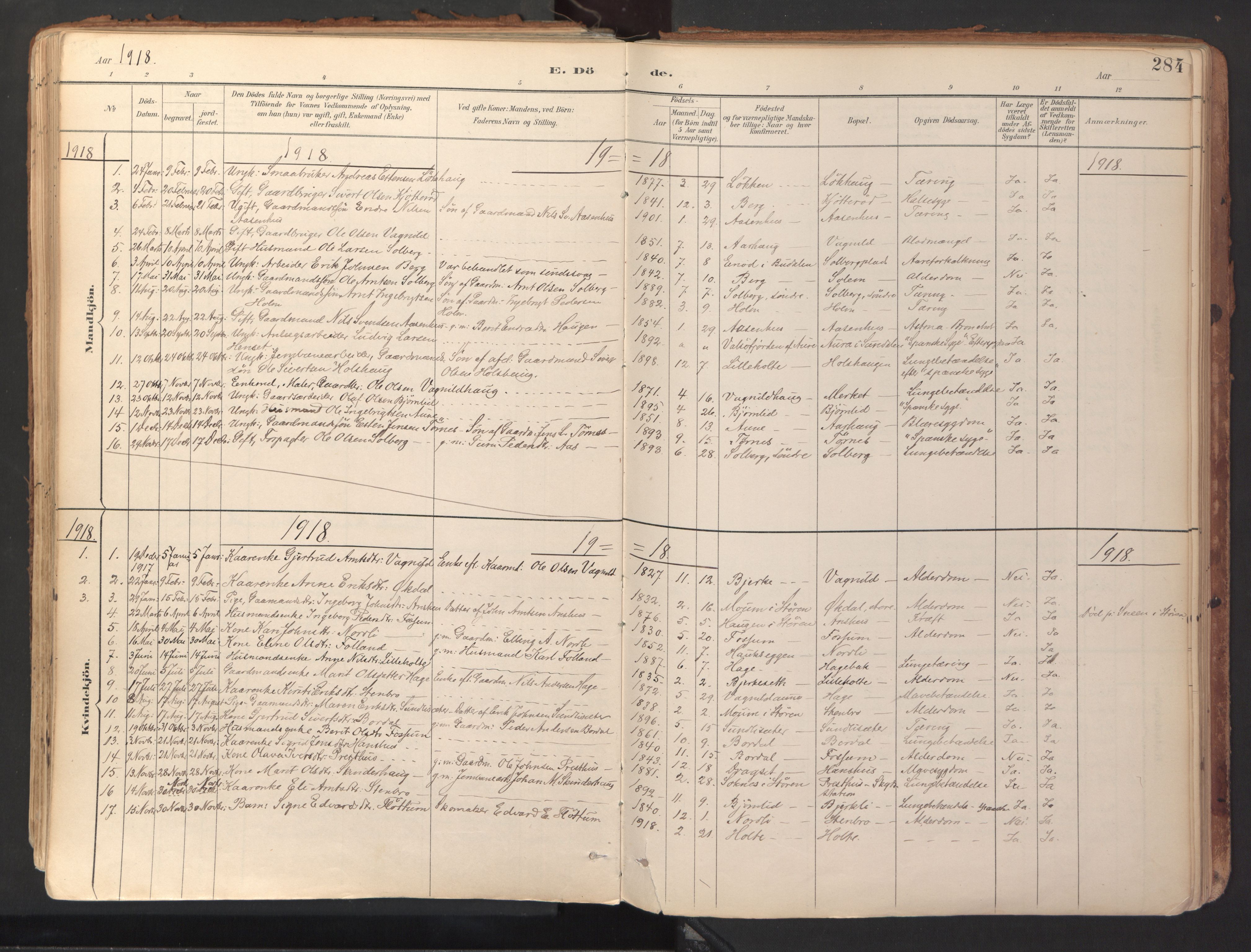 Ministerialprotokoller, klokkerbøker og fødselsregistre - Sør-Trøndelag, SAT/A-1456/689/L1041: Parish register (official) no. 689A06, 1891-1923, p. 284