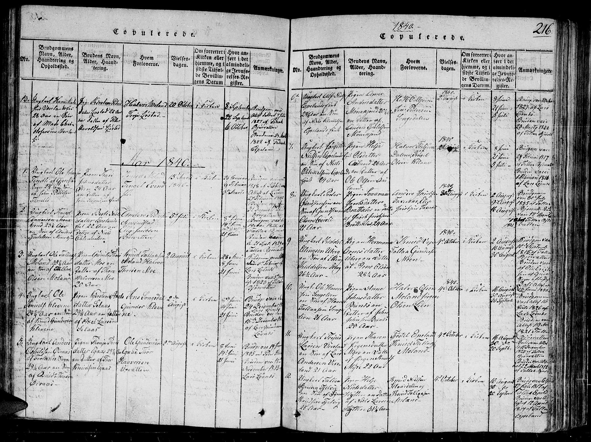 Gjerstad sokneprestkontor, SAK/1111-0014/F/Fb/Fbb/L0001: Parish register (copy) no. B 1, 1813-1863, p. 216