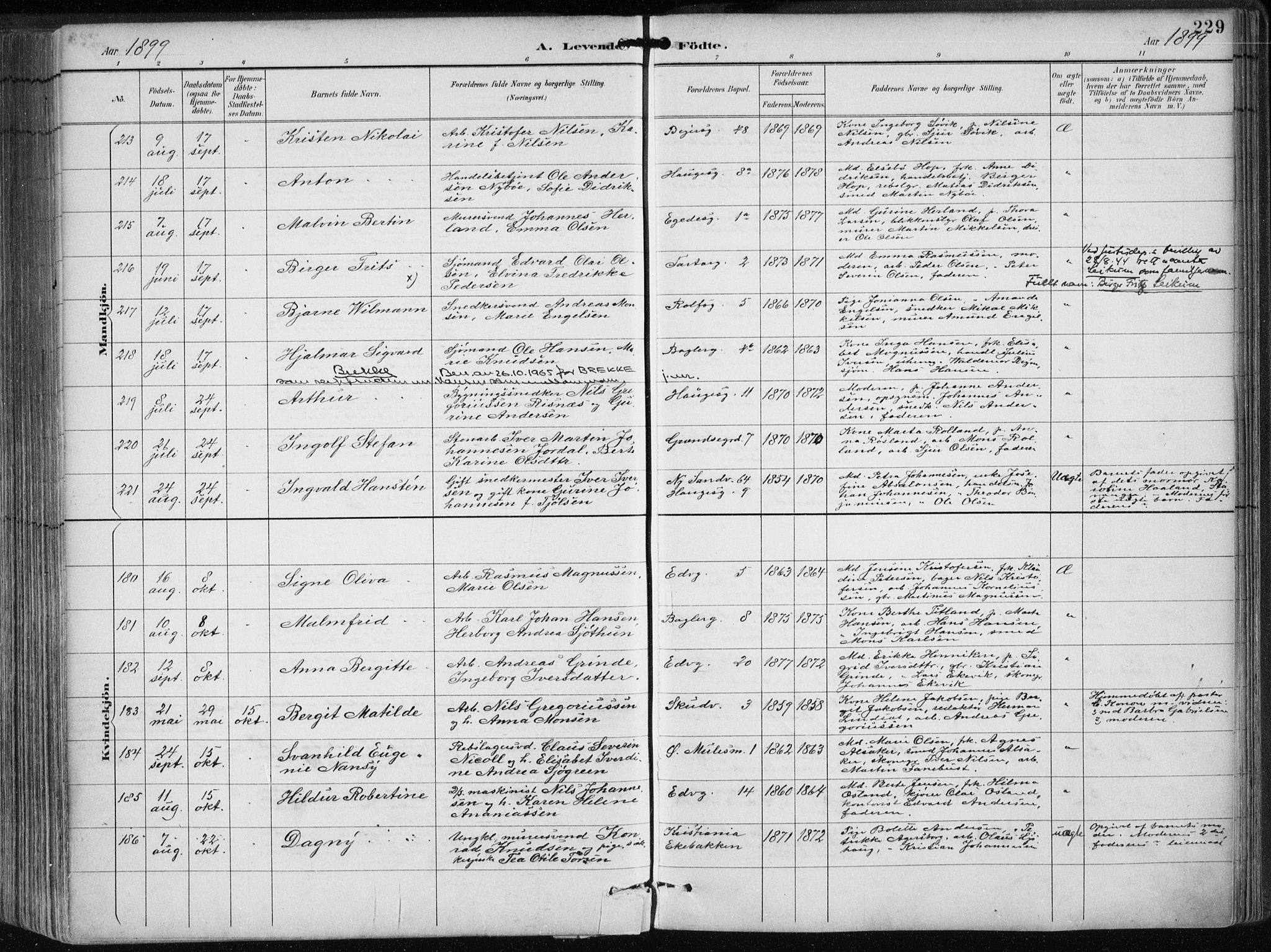 Sandviken Sokneprestembete, SAB/A-77601/H/Ha/L0005: Parish register (official) no. B 2, 1891-1901, p. 229
