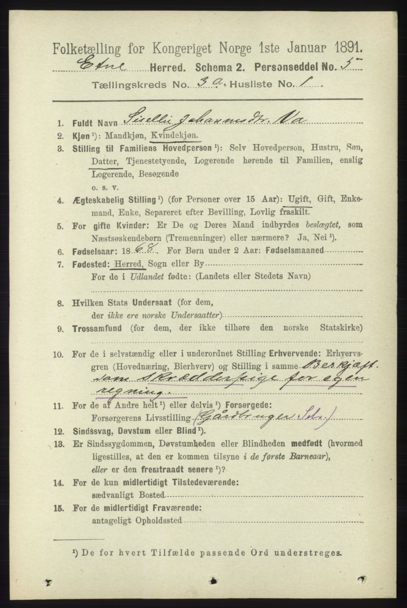 RA, 1891 census for 1211 Etne, 1891, p. 693