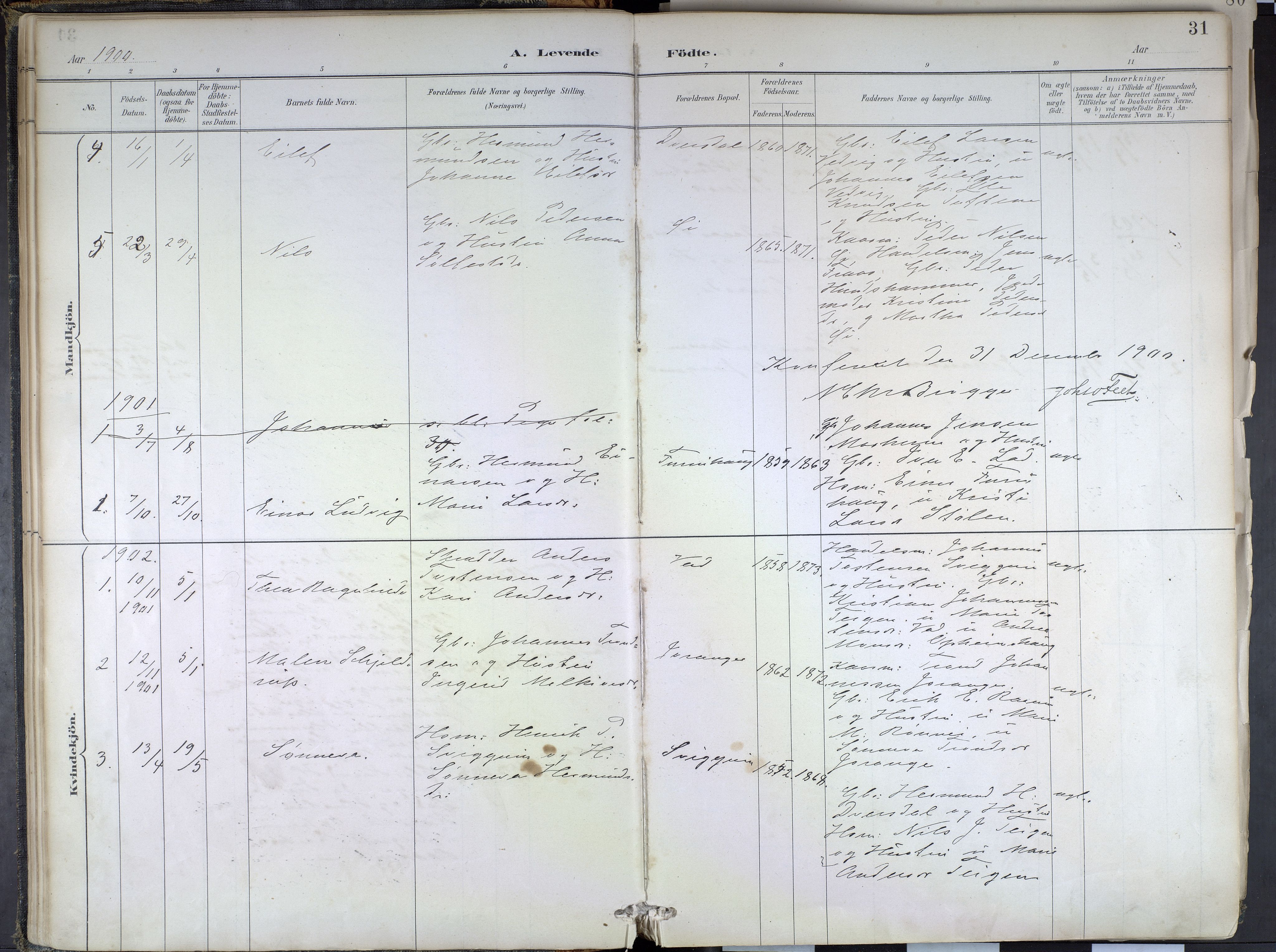 Hafslo sokneprestembete, SAB/A-80301/H/Haa/Haae/L0001: Parish register (official) no. E 1, 1886-1934, p. 31