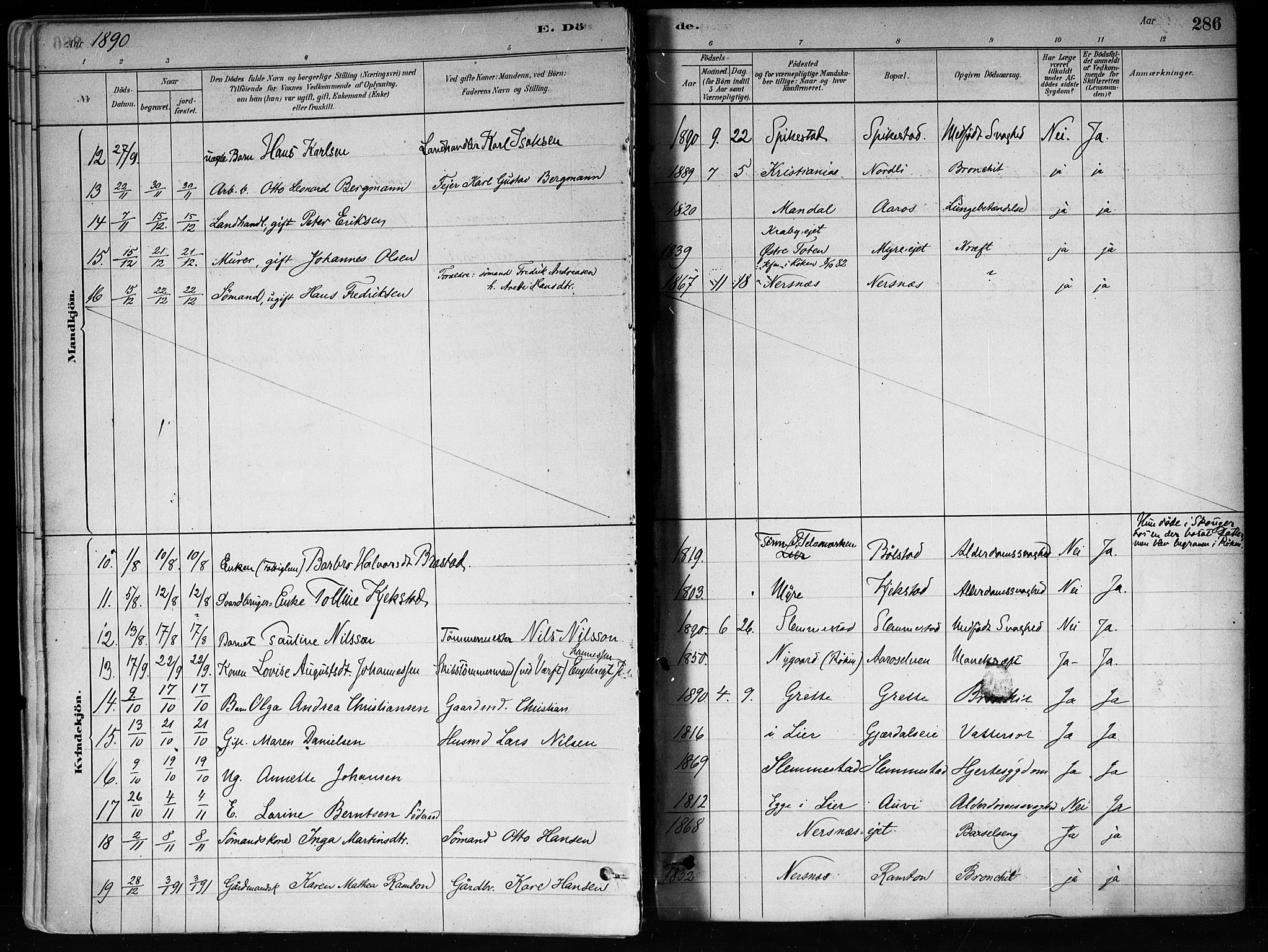 Røyken kirkebøker, SAKO/A-241/F/Fa/L0008: Parish register (official) no. 8, 1880-1897, p. 286