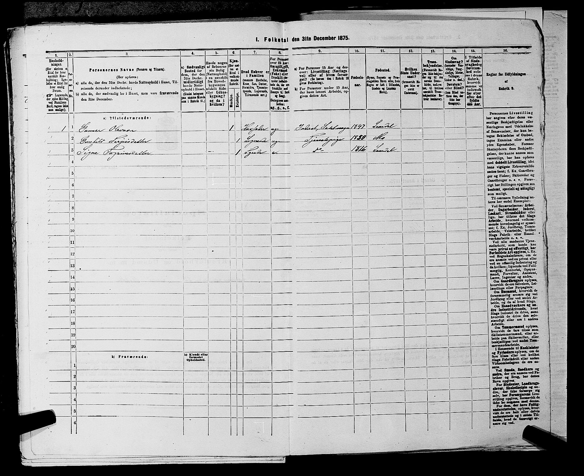 SAKO, 1875 census for 0833P Lårdal, 1875, p. 213