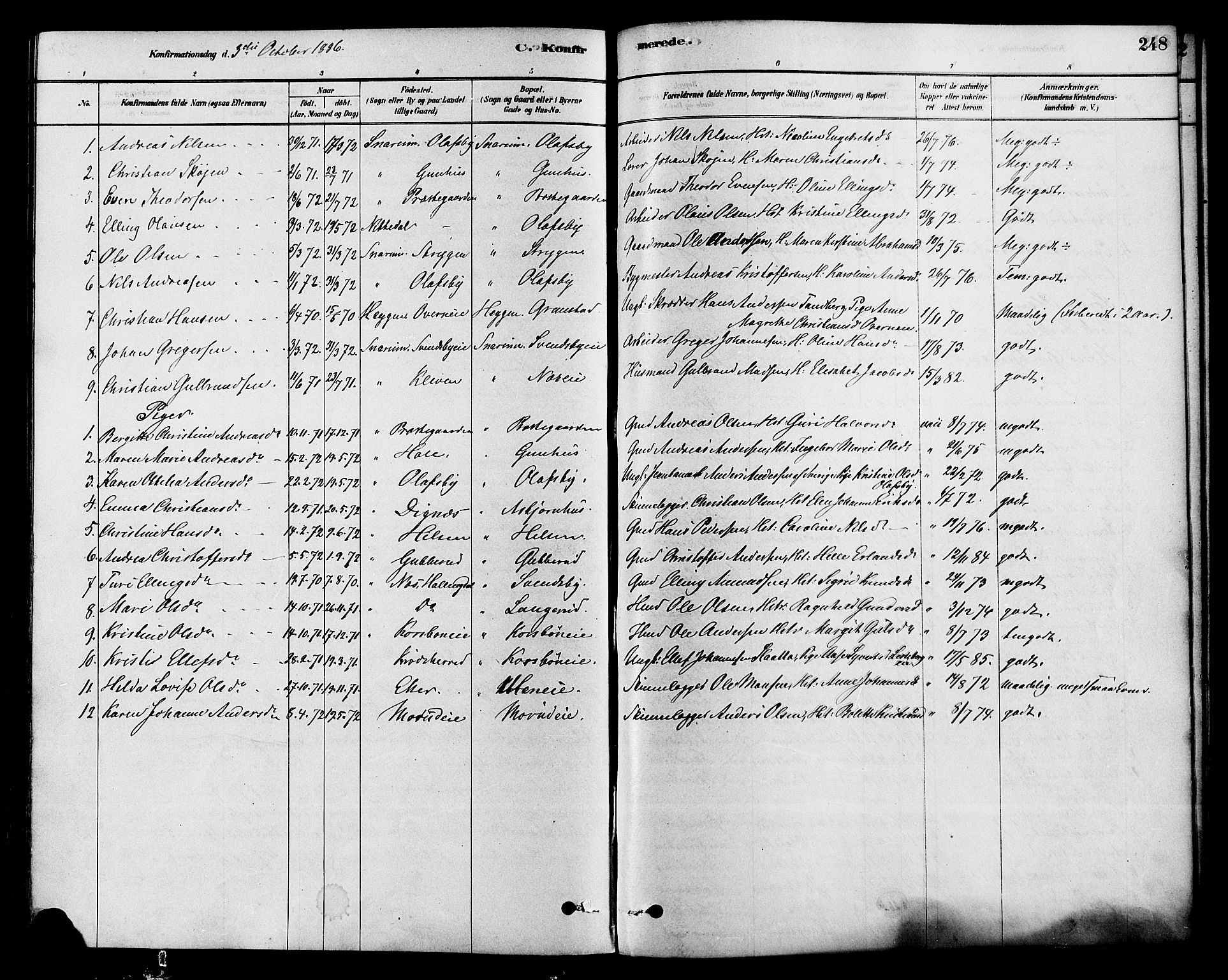 Modum kirkebøker, AV/SAKO-A-234/F/Fa/L0015: Parish register (official) no. 15 /2, 1877-1889, p. 248