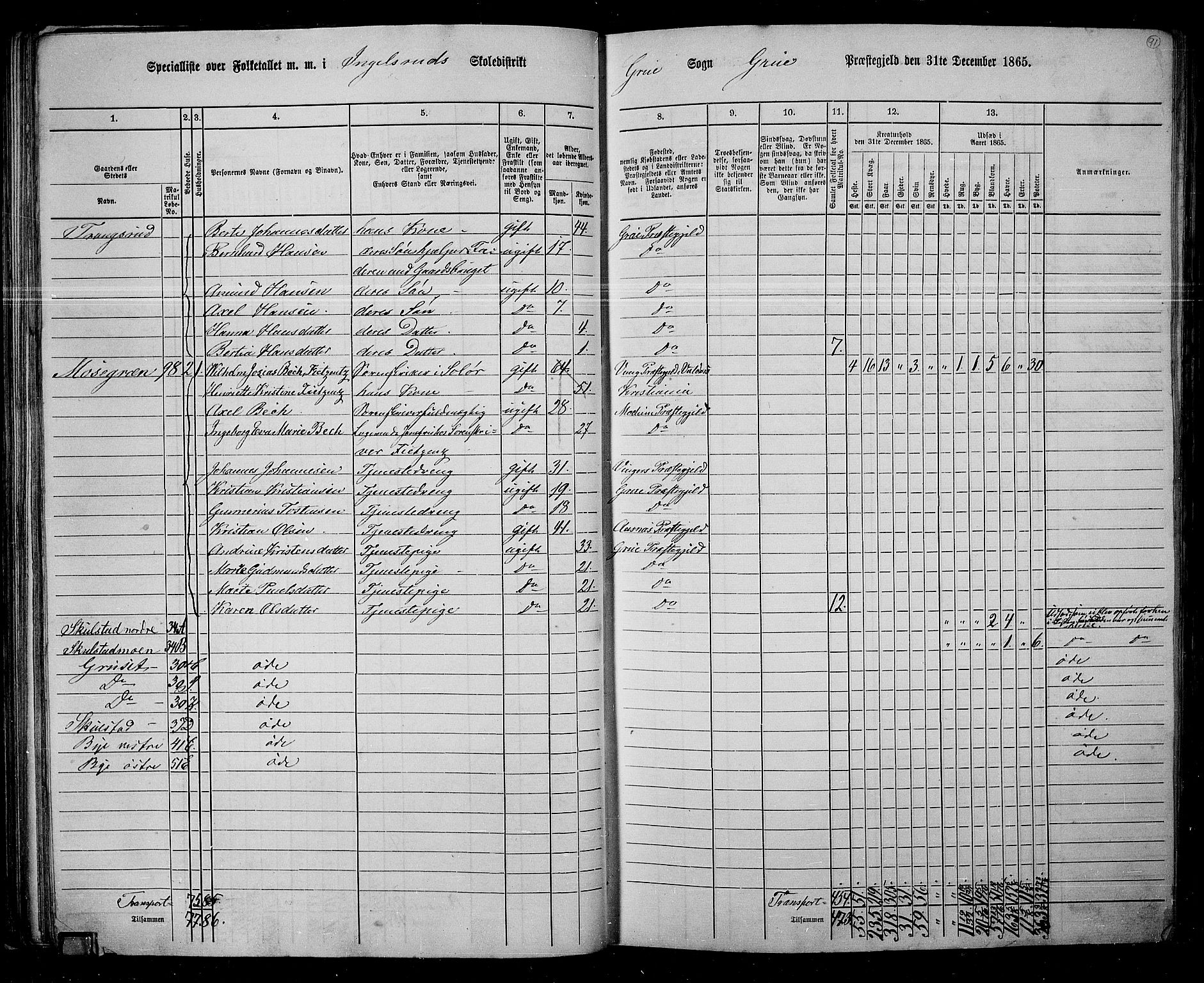 RA, 1865 census for Grue, 1865, p. 81