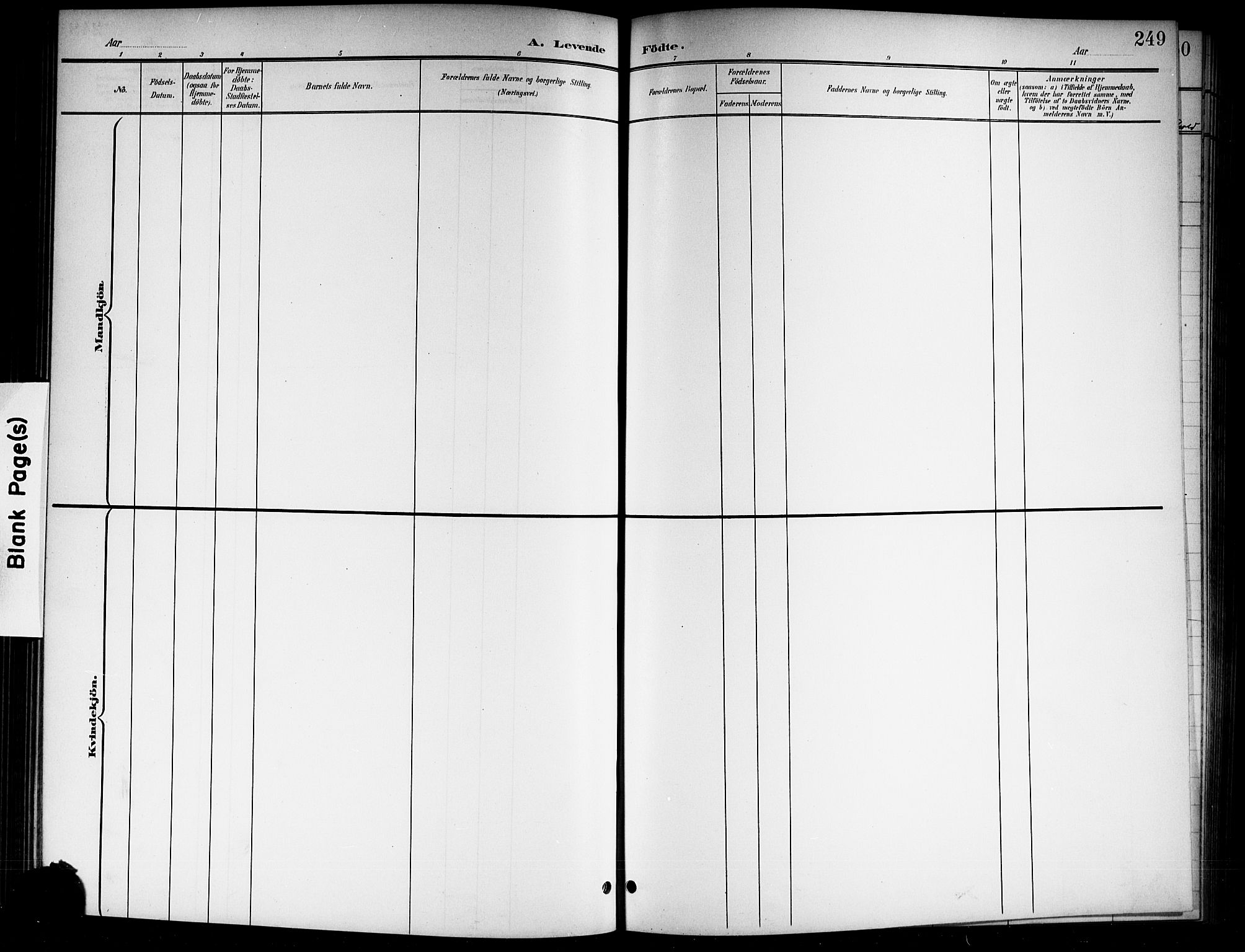 Norderhov kirkebøker, AV/SAKO-A-237/G/Gb/L0002: Parish register (copy) no. II 2, 1891-1921, p. 249