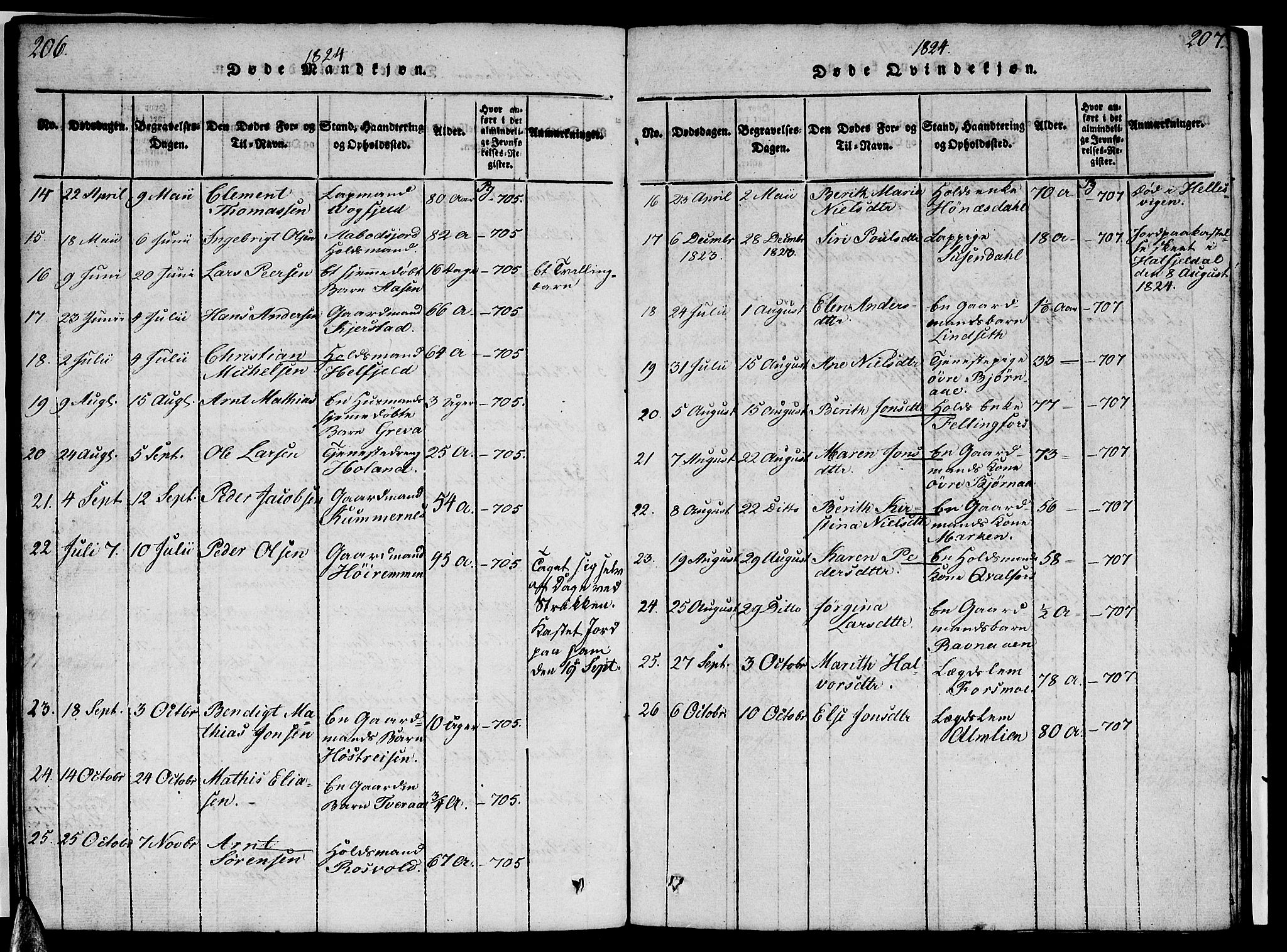 Ministerialprotokoller, klokkerbøker og fødselsregistre - Nordland, AV/SAT-A-1459/820/L0299: Parish register (copy) no. 820C01, 1820-1825, p. 206-207