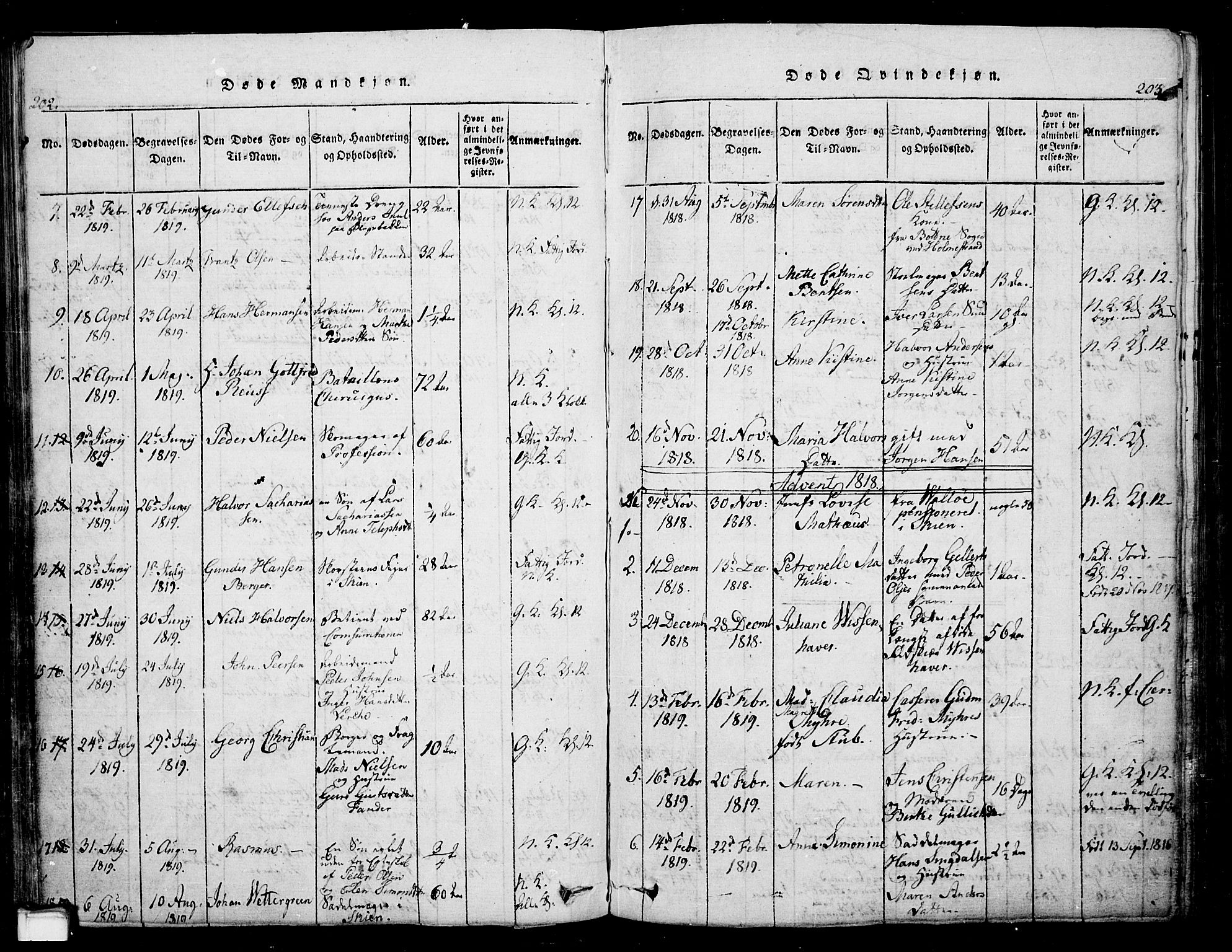 Skien kirkebøker, SAKO/A-302/G/Ga/L0002: Parish register (copy) no. 2, 1814-1842, p. 202-203