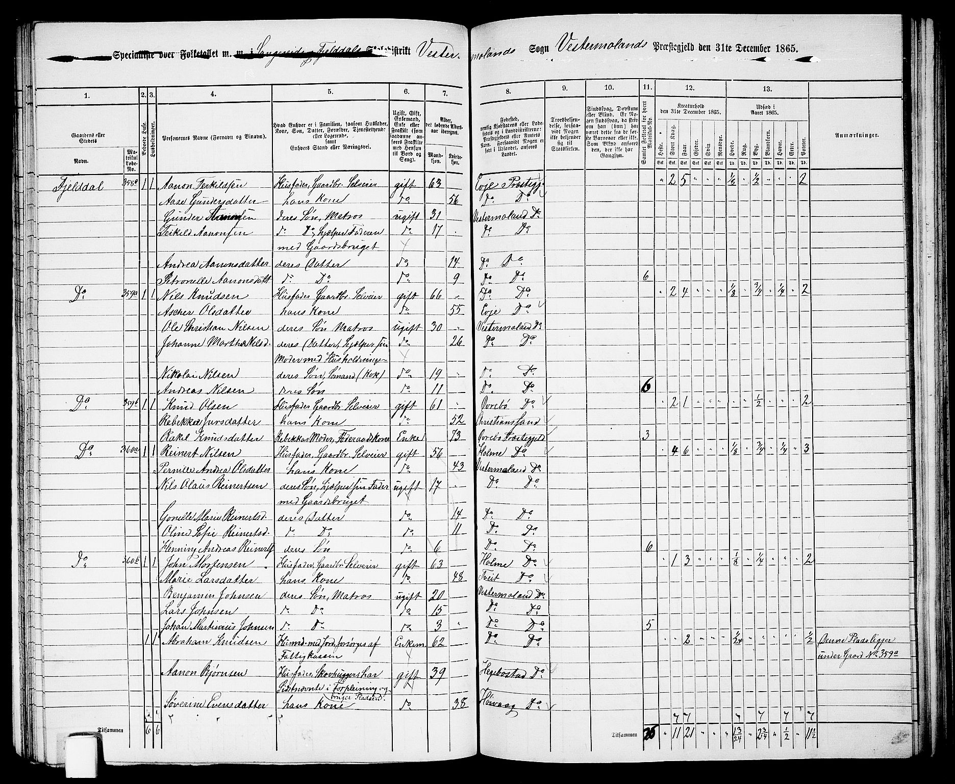 RA, 1865 census for Vestre Moland/Vestre Moland, 1865, p. 29