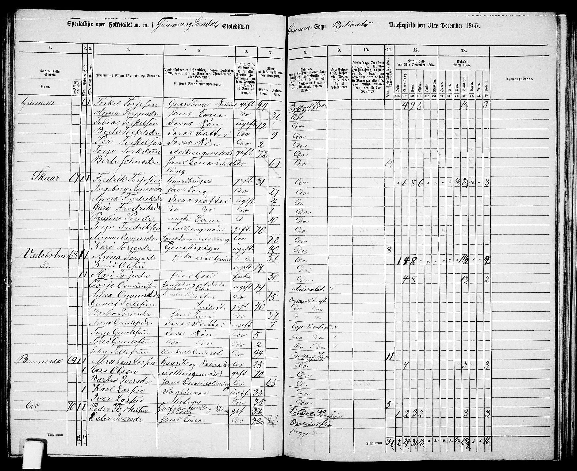 RA, 1865 census for Bjelland, 1865, p. 62