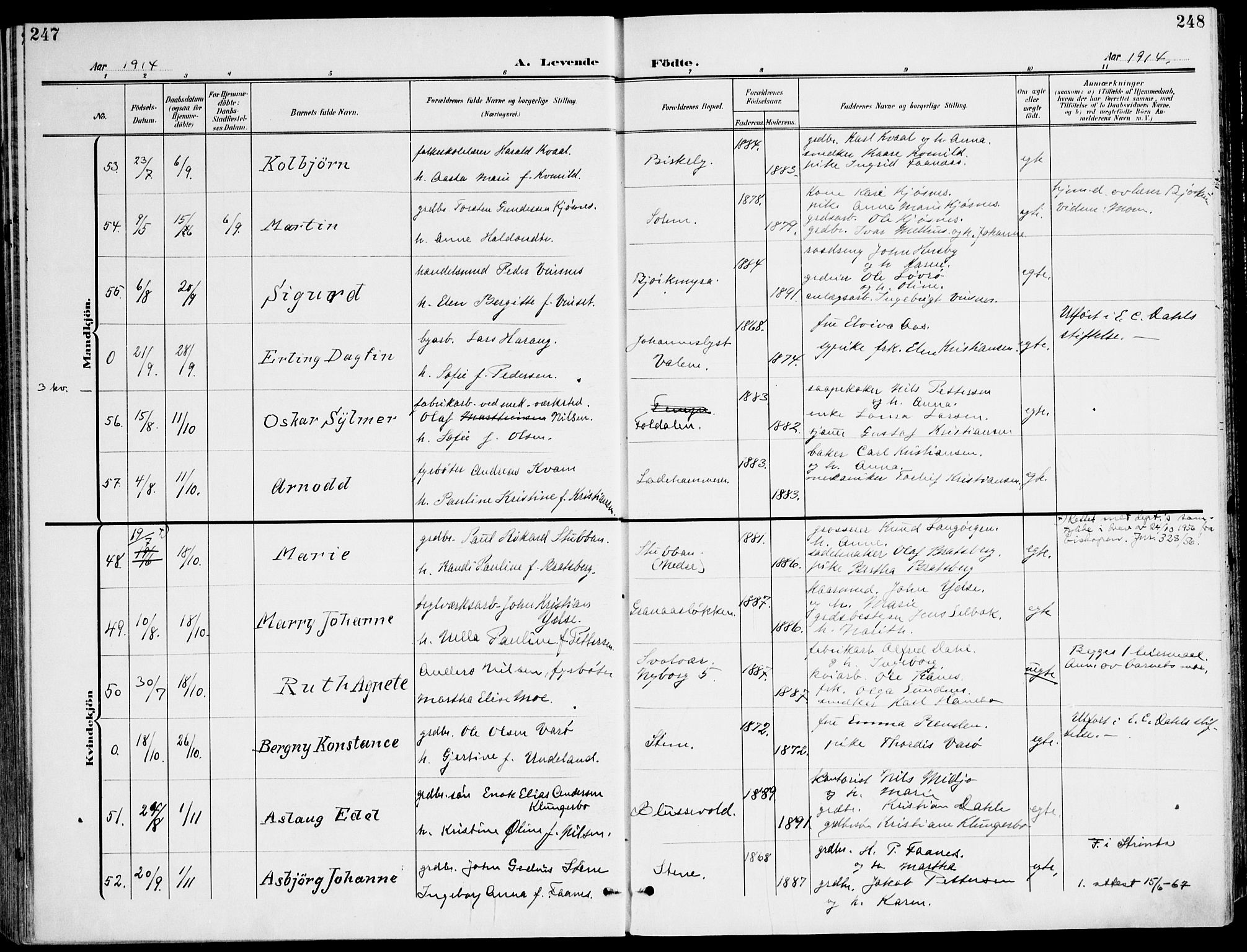 Ministerialprotokoller, klokkerbøker og fødselsregistre - Sør-Trøndelag, AV/SAT-A-1456/607/L0320: Parish register (official) no. 607A04, 1907-1915, p. 247-248