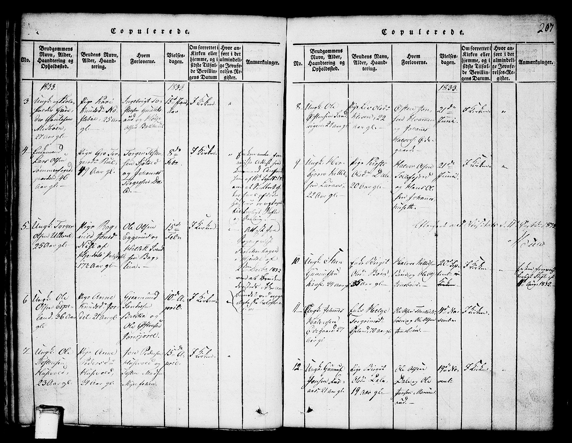 Tinn kirkebøker, SAKO/A-308/G/Ga/L0001: Parish register (copy) no. I 1, 1815-1850, p. 207