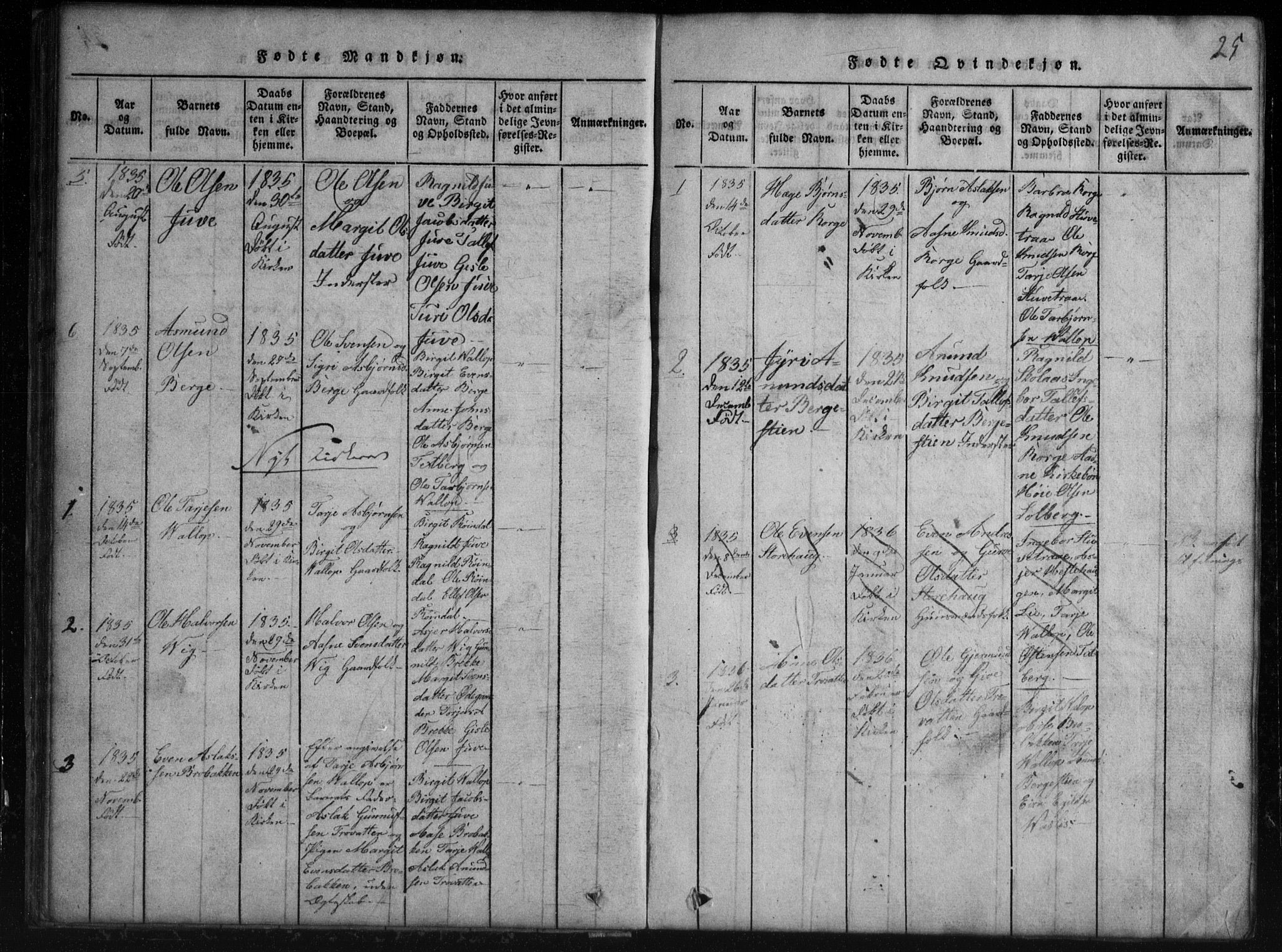 Rauland kirkebøker, SAKO/A-292/G/Gb/L0001: Parish register (copy) no. II 1, 1815-1886, p. 25