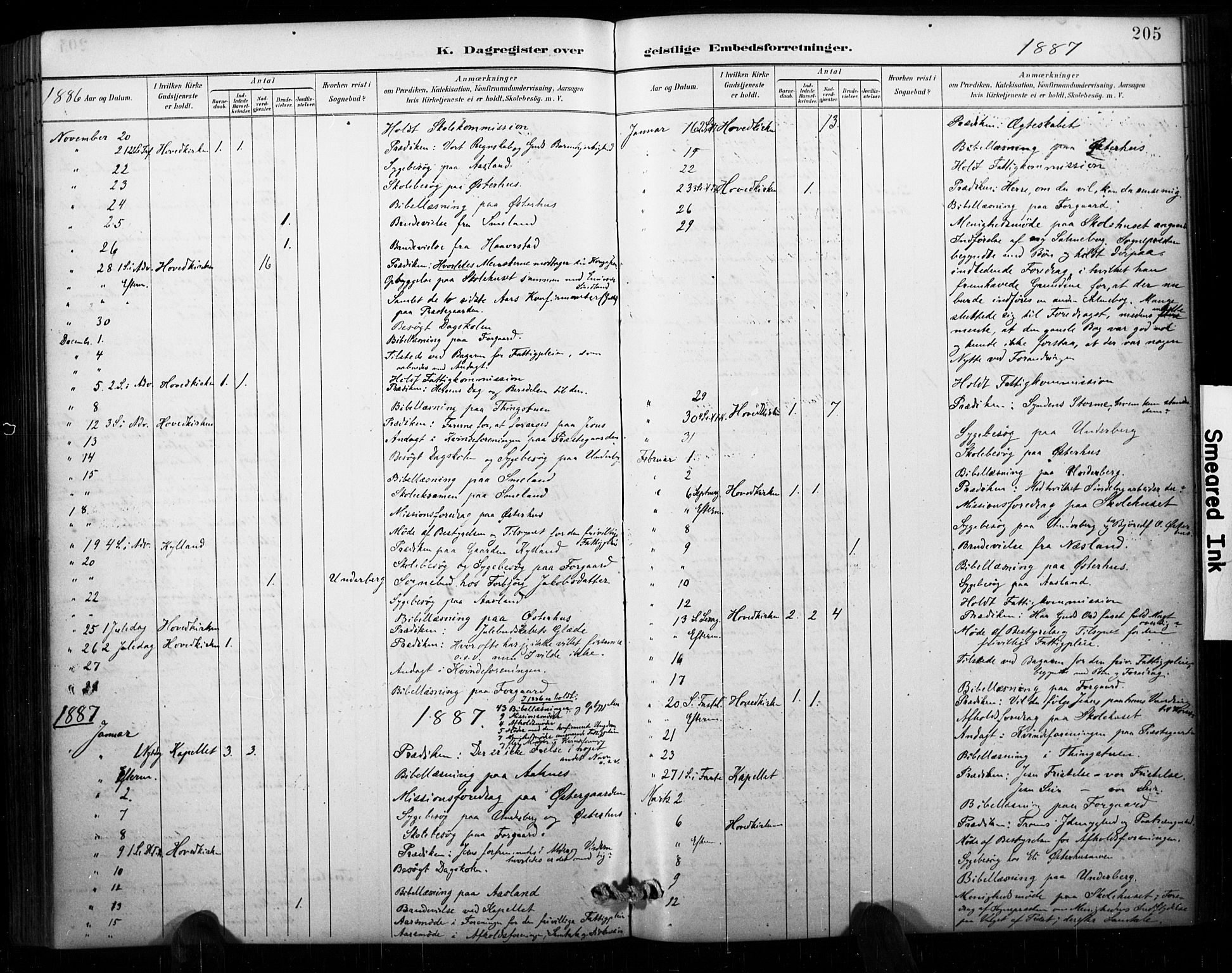 Åseral sokneprestkontor, AV/SAK-1111-0051/F/Fa/L0003: Parish register (official) no. A 3, 1884-1901, p. 205