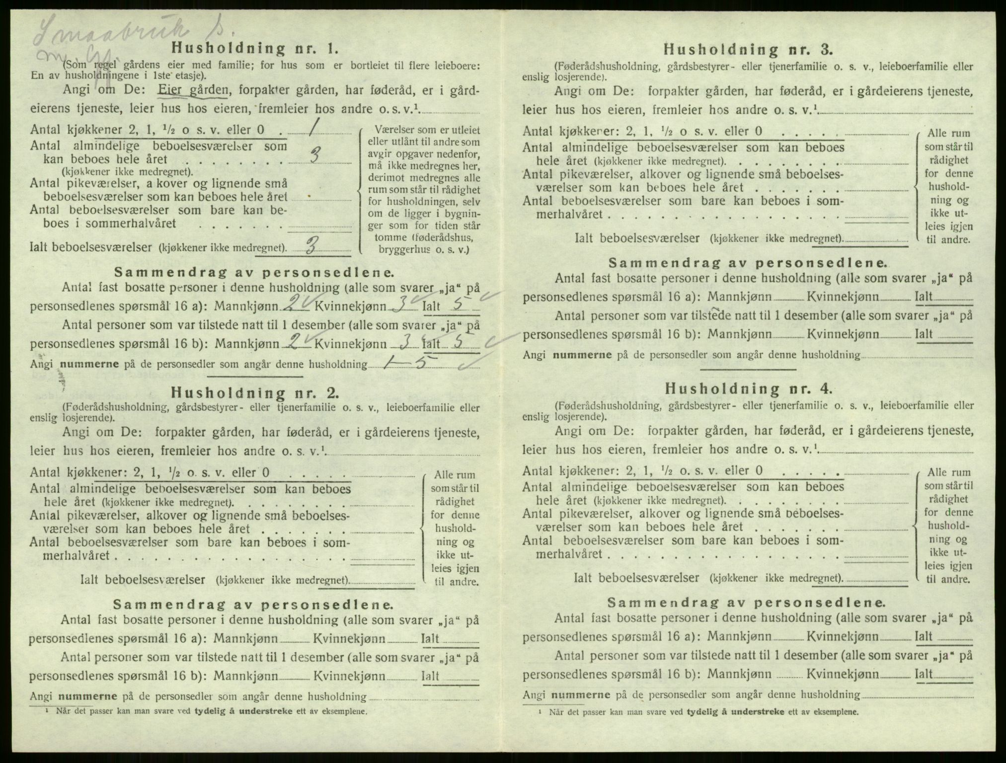 SAKO, 1920 census for Strømm, 1920, p. 154