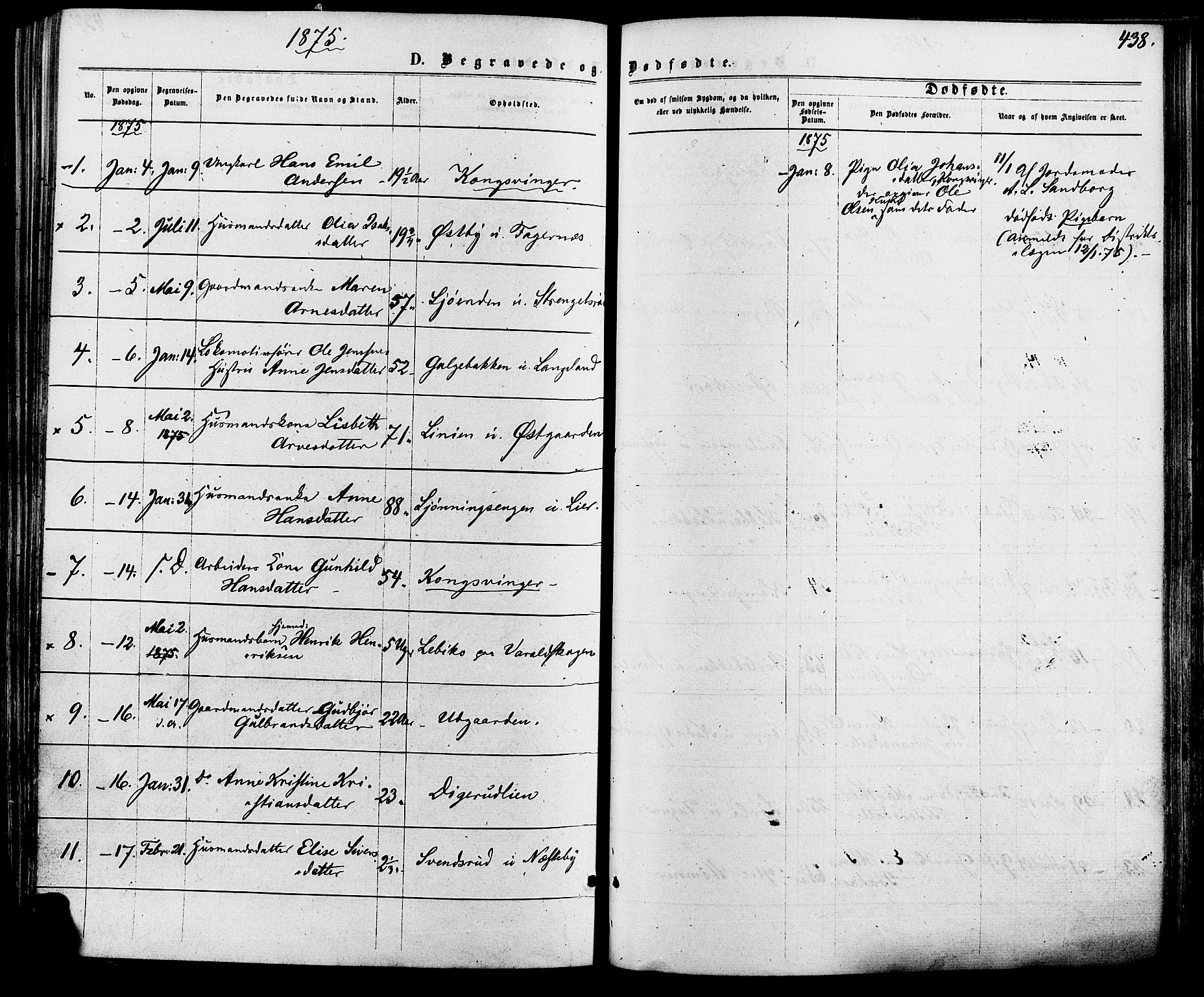 Vinger prestekontor, SAH/PREST-024/H/Ha/Haa/L0012: Parish register (official) no. 12, 1871-1880, p. 438