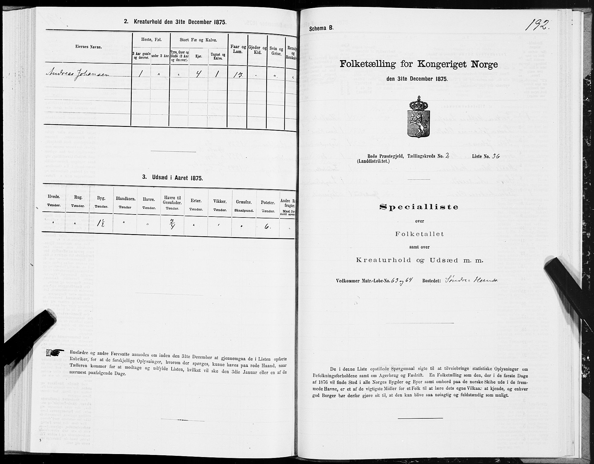 SAT, 1875 census for 1843L Bodø/Bodø, 1875, p. 1192