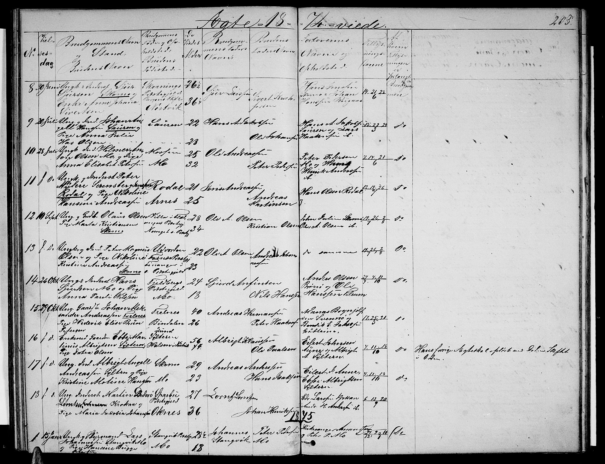 Ministerialprotokoller, klokkerbøker og fødselsregistre - Nordland, AV/SAT-A-1459/813/L0212: Parish register (copy) no. 813C04, 1864-1886, p. 205