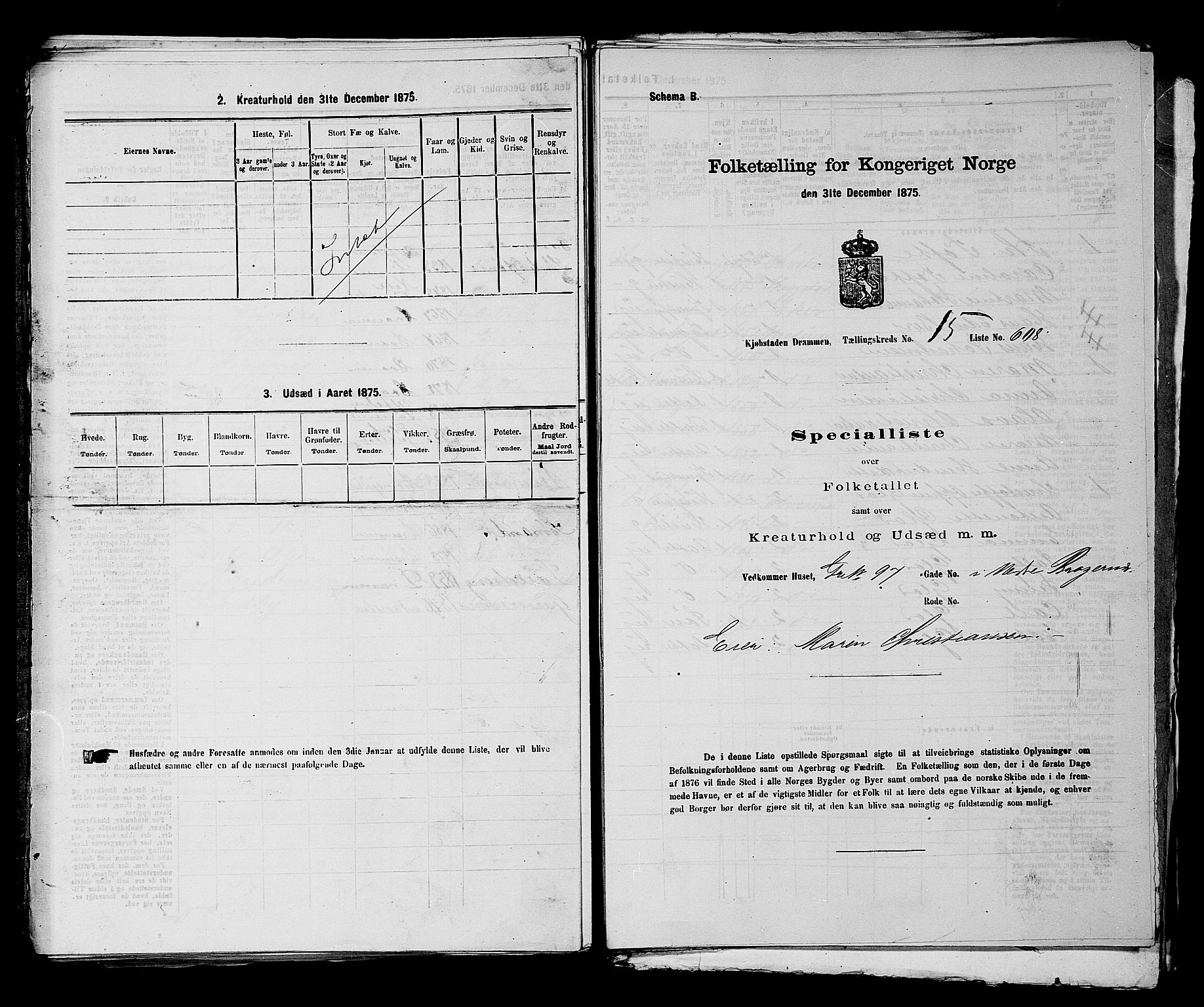 SAKO, 1875 census for 0602 Drammen, 1875, p. 1728