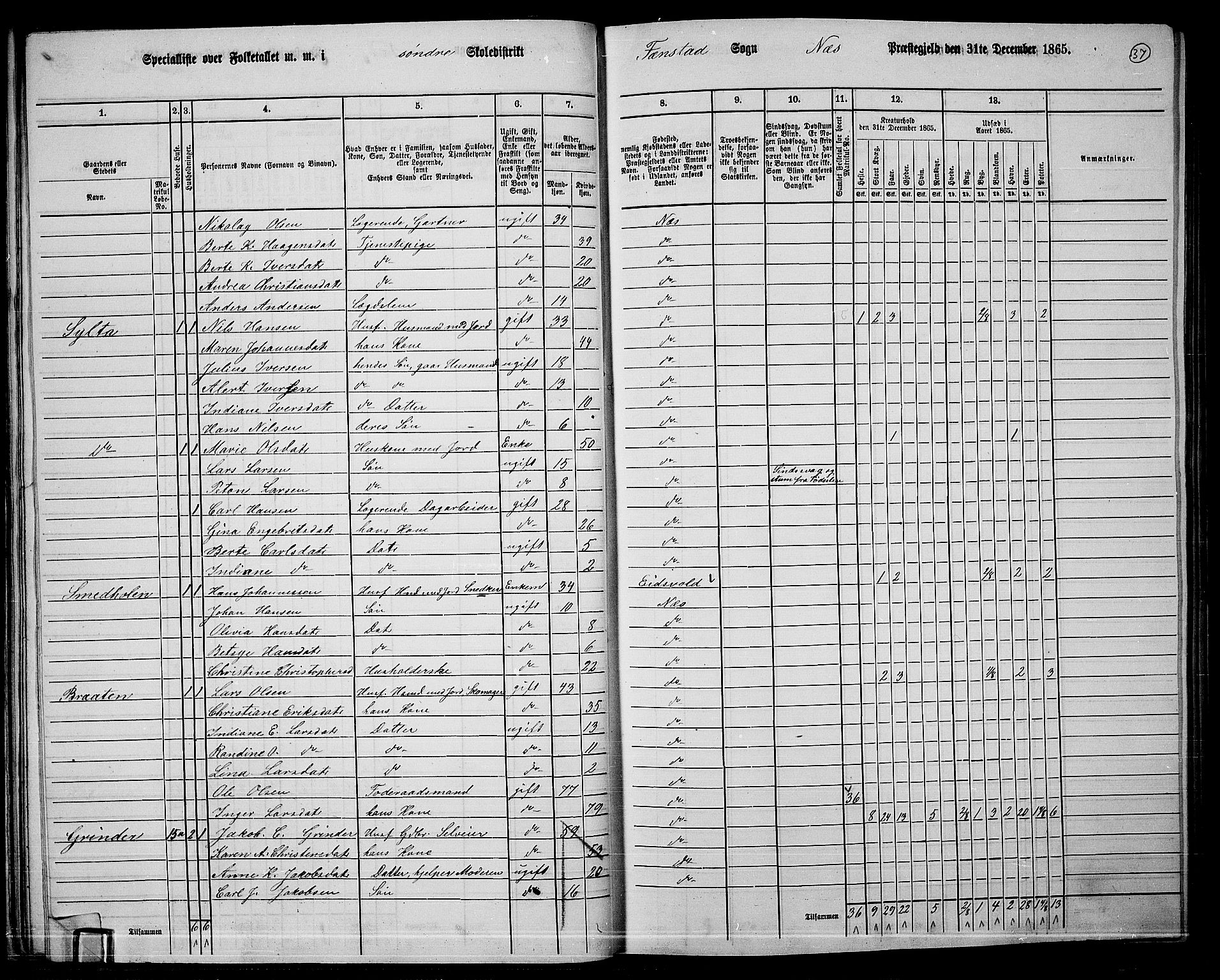 RA, 1865 census for Nes, 1865, p. 34
