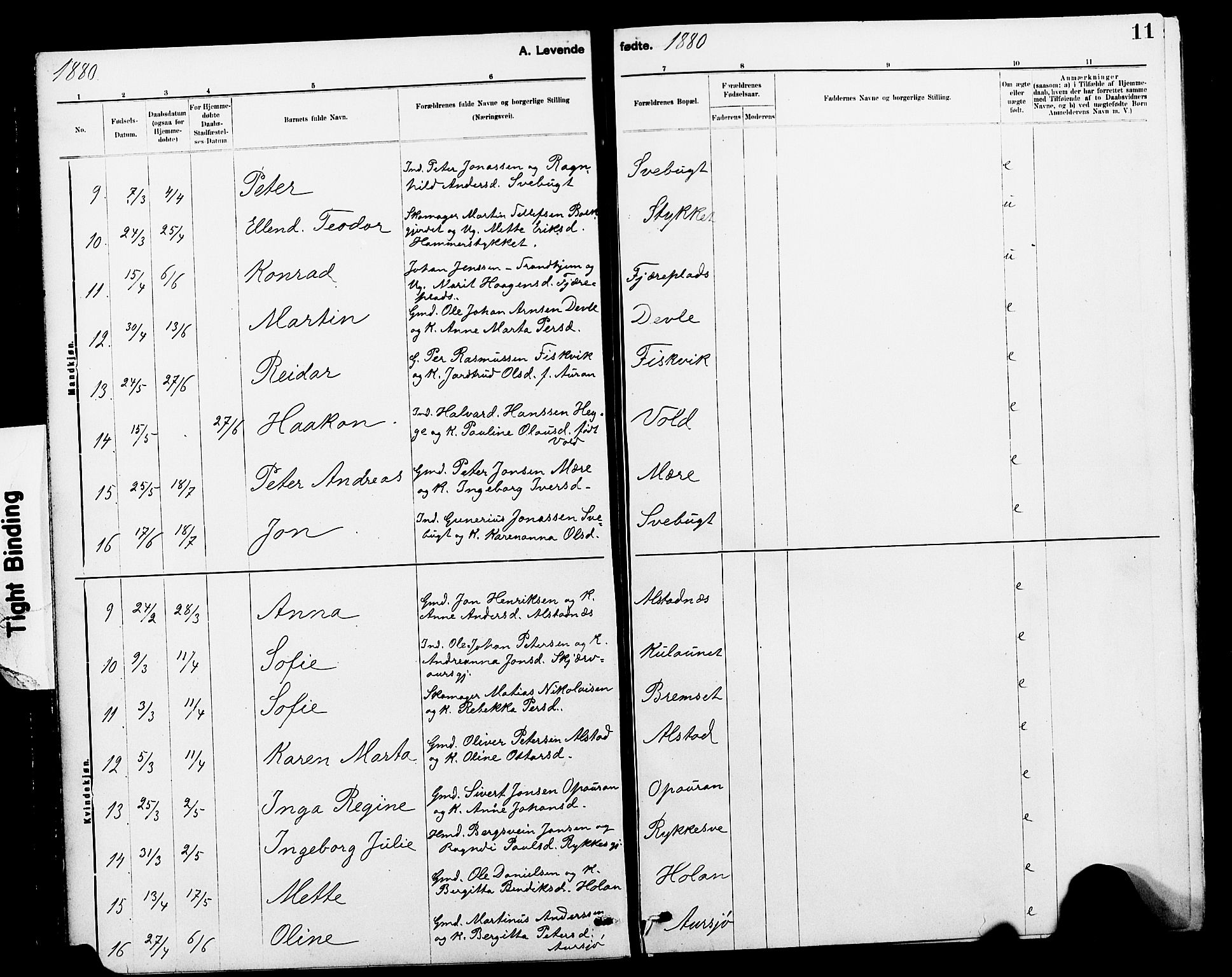 Ministerialprotokoller, klokkerbøker og fødselsregistre - Nord-Trøndelag, SAT/A-1458/712/L0103: Parish register (copy) no. 712C01, 1878-1917, p. 11