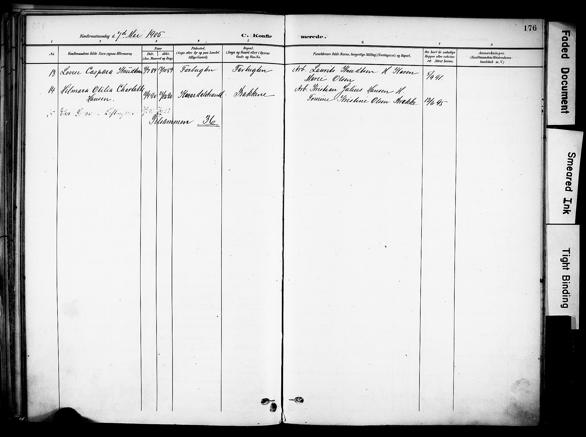 Solum kirkebøker, AV/SAKO-A-306/F/Fa/L0011: Parish register (official) no. I 11, 1898-1909, p. 176