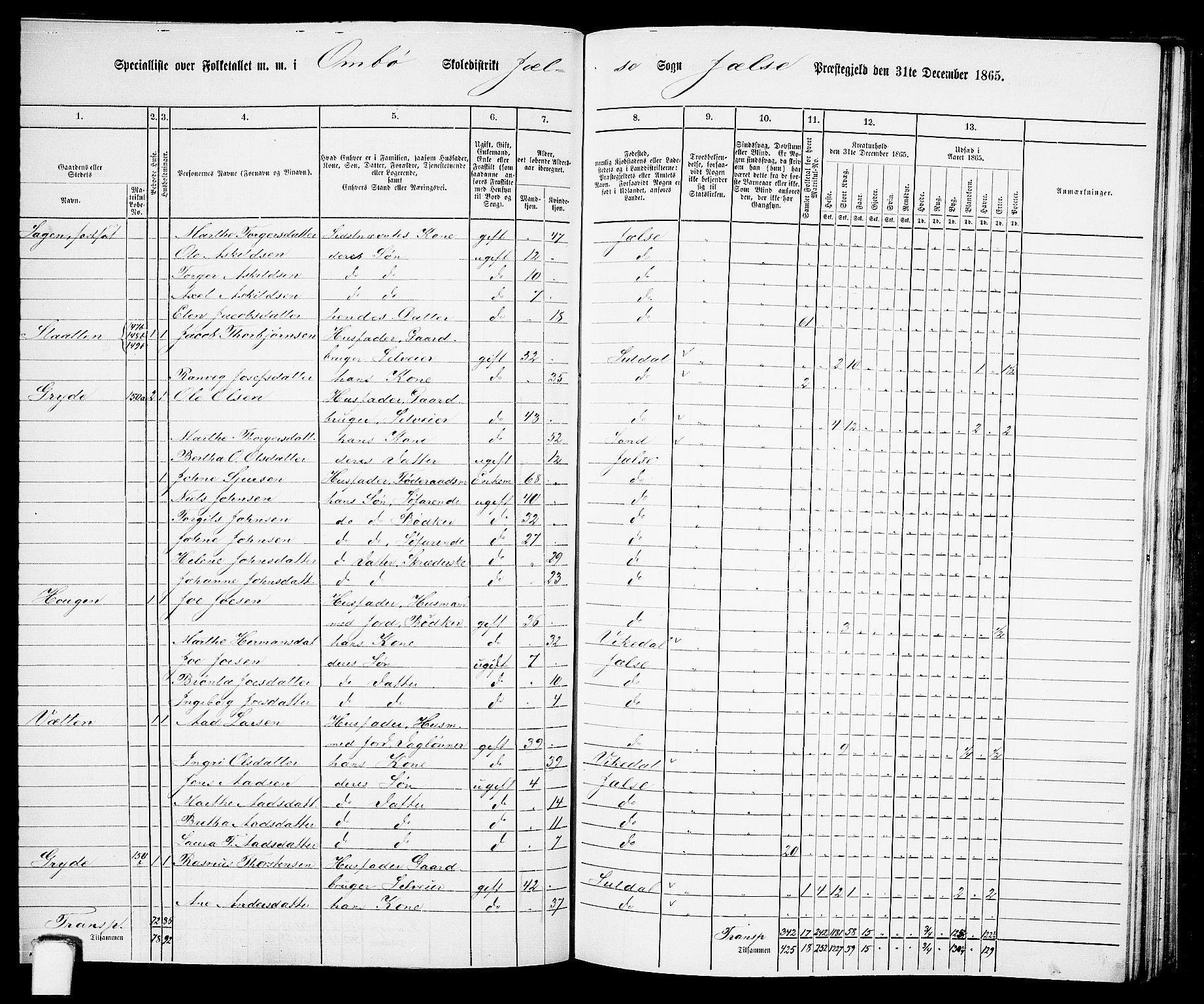 RA, 1865 census for Jelsa, 1865, p. 80