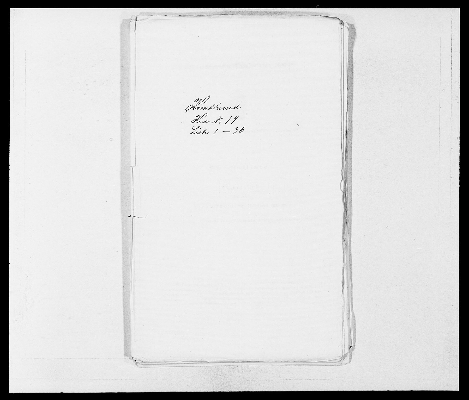 SAB, 1875 census for 1224P Kvinnherad, 1875, p. 1202