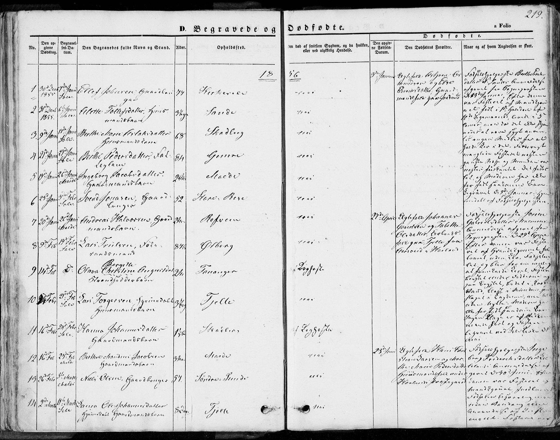 Håland sokneprestkontor, AV/SAST-A-101802/001/30BA/L0008: Parish register (official) no. A 7.2, 1854-1870, p. 219