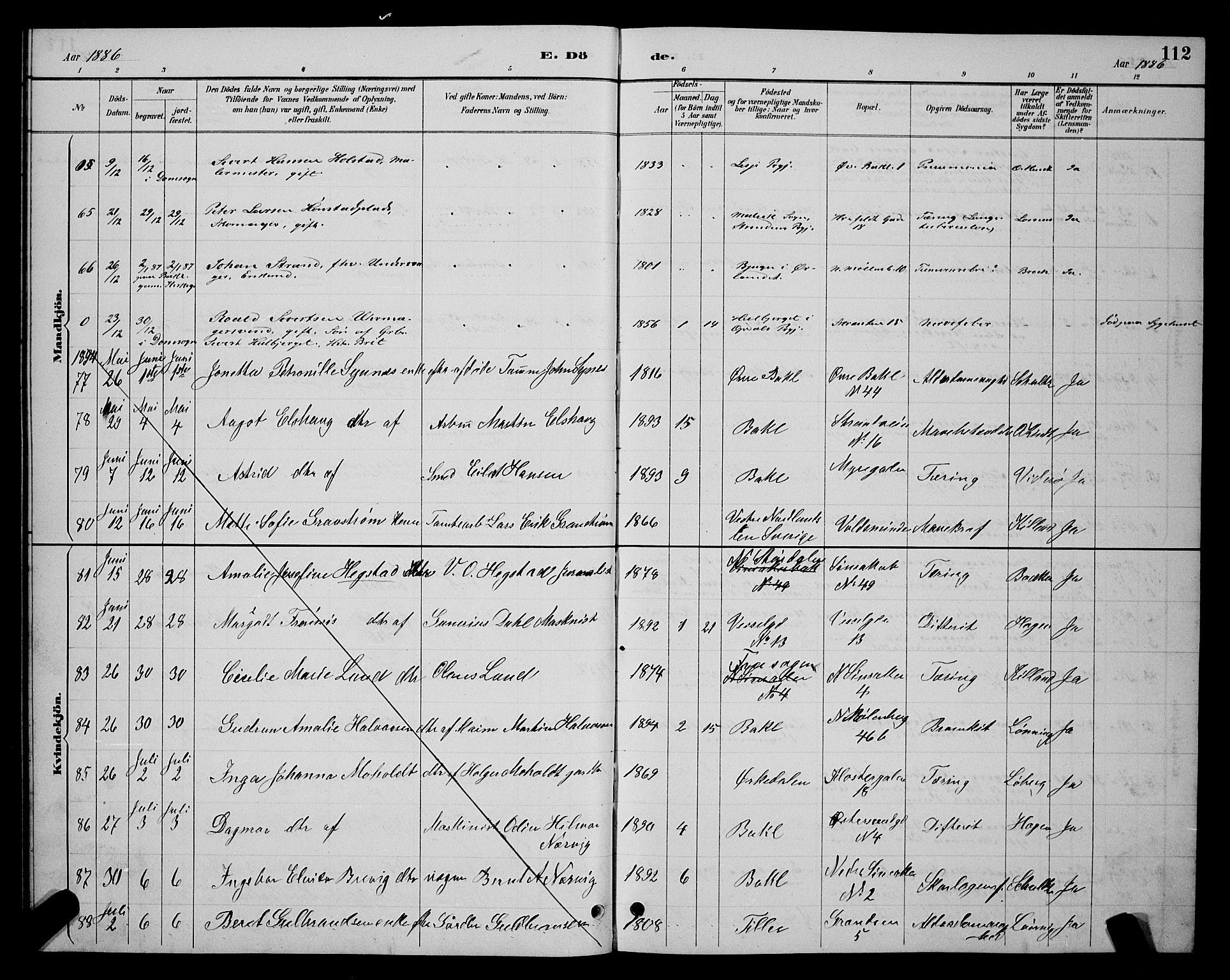 Ministerialprotokoller, klokkerbøker og fødselsregistre - Sør-Trøndelag, SAT/A-1456/604/L0223: Parish register (copy) no. 604C06, 1886-1897, p. 112