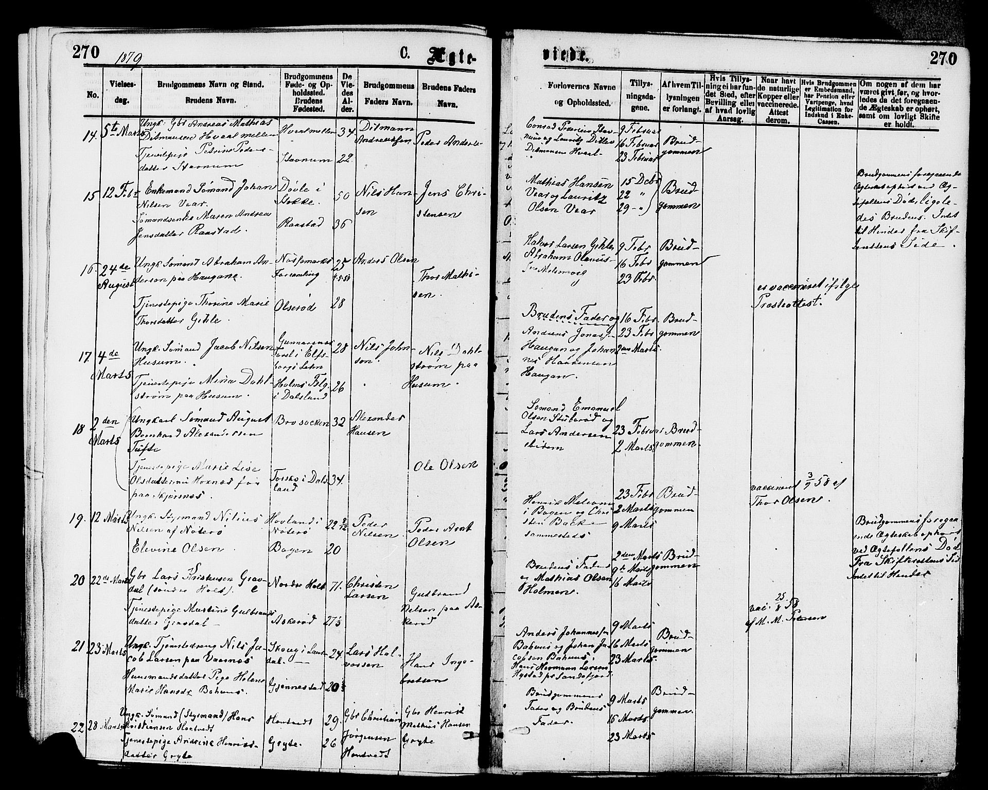 Stokke kirkebøker, SAKO/A-320/F/Fa/L0009: Parish register (official) no. I 9, 1872-1883, p. 270