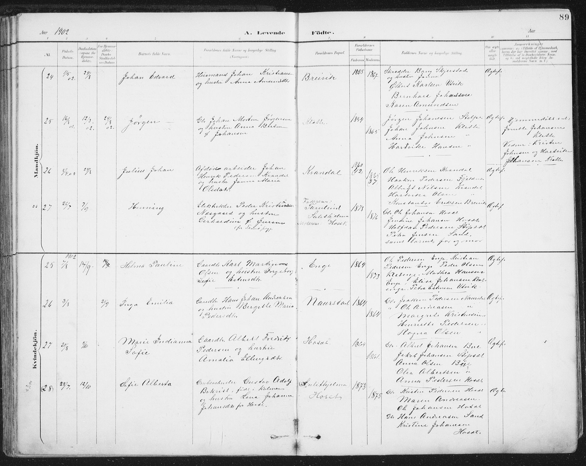 Ministerialprotokoller, klokkerbøker og fødselsregistre - Nordland, AV/SAT-A-1459/852/L0741: Parish register (official) no. 852A11, 1894-1917, p. 89