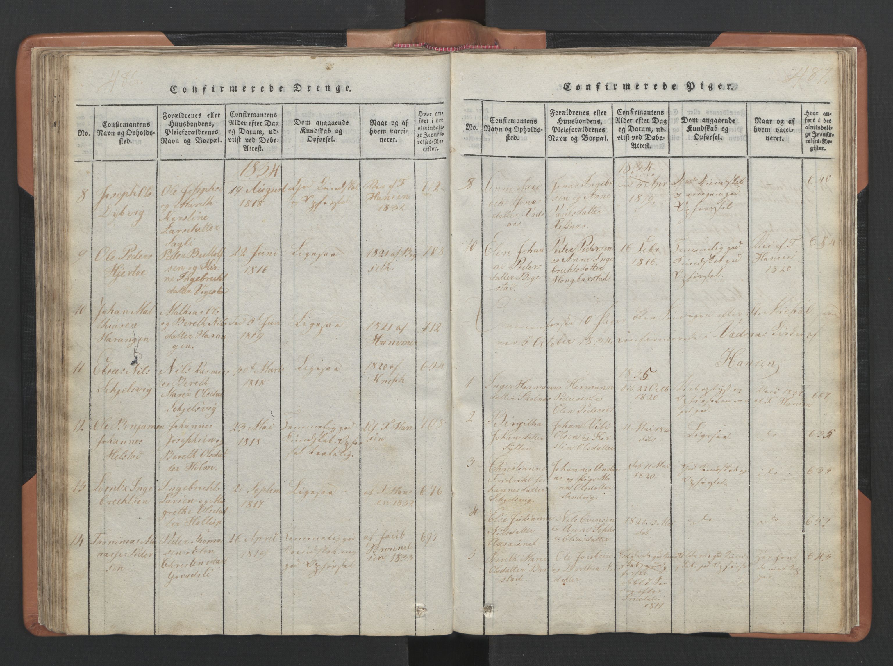 Ministerialprotokoller, klokkerbøker og fødselsregistre - Nordland, AV/SAT-A-1459/810/L0157: Parish register (copy) no. 810C01, 1819-1842, p. 486-487