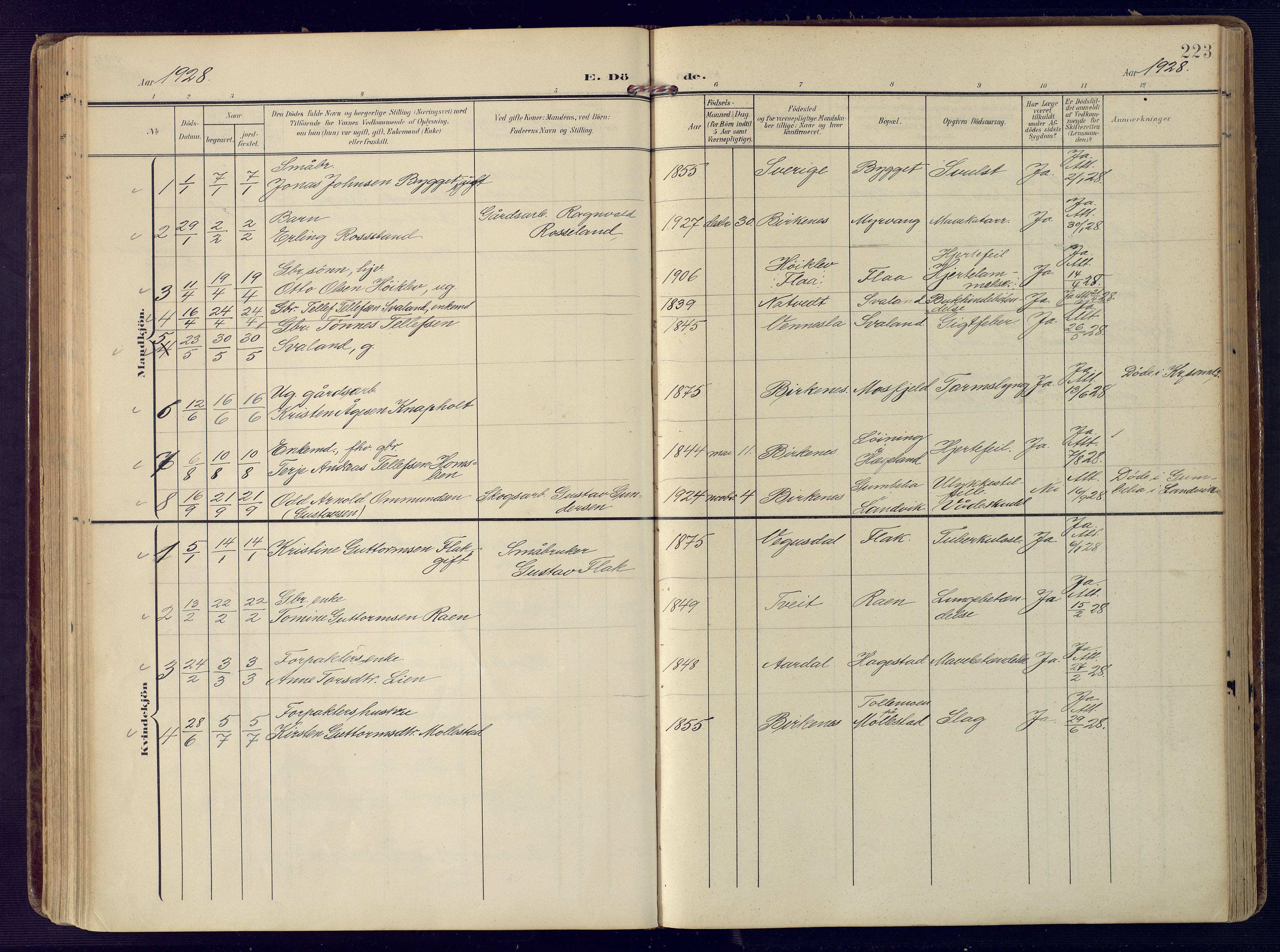 Birkenes sokneprestkontor, SAK/1111-0004/F/Fa/L0006: Parish register (official) no. A 6, 1908-1932, p. 223