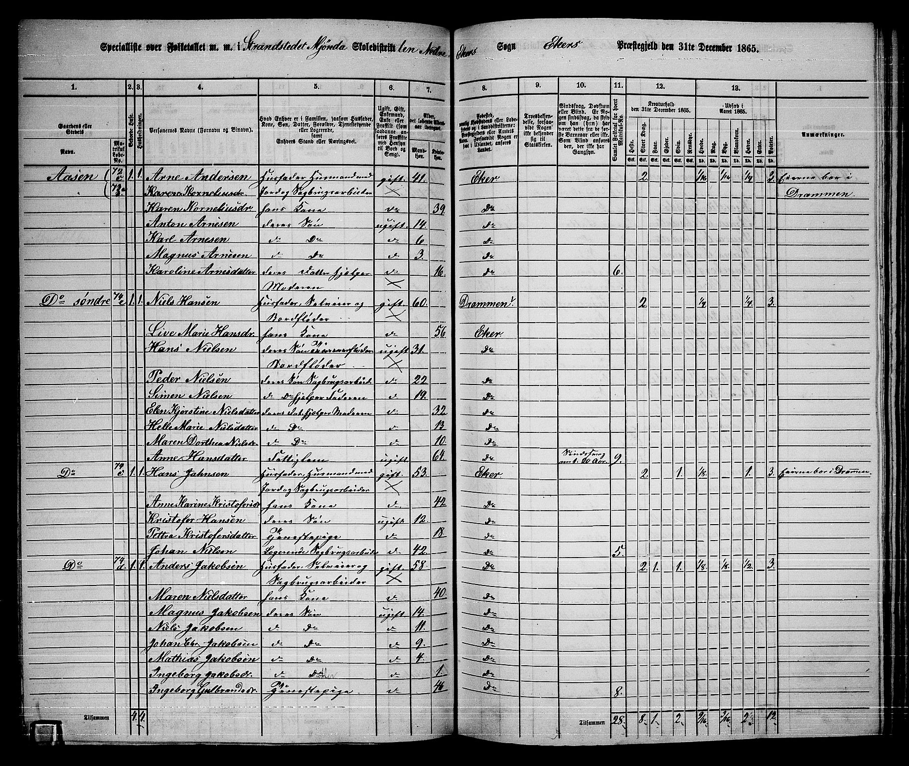 RA, 1865 census for Eiker, 1865, p. 409