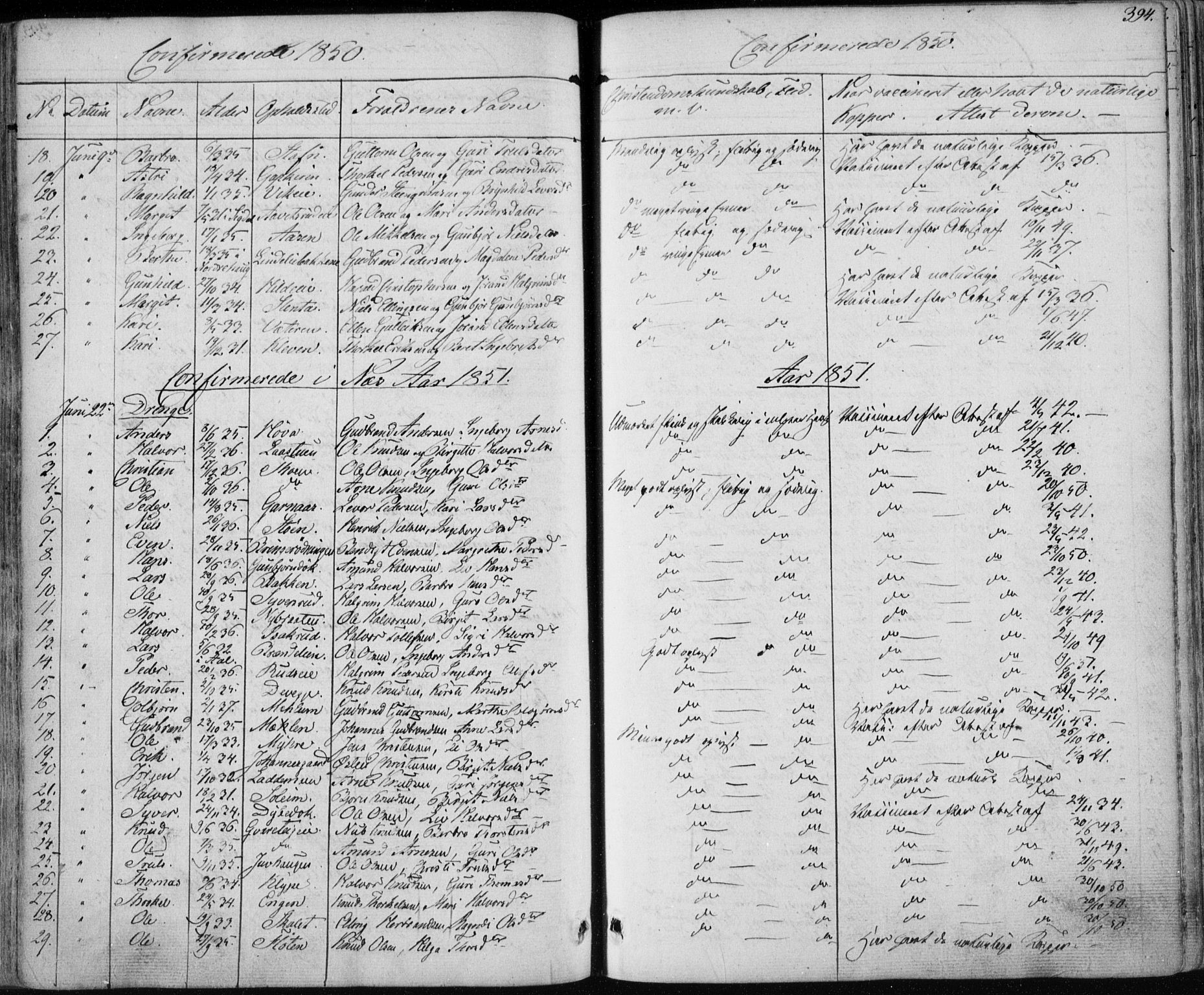 Nes kirkebøker, SAKO/A-236/F/Fa/L0009: Parish register (official) no. 9, 1834-1863, p. 394