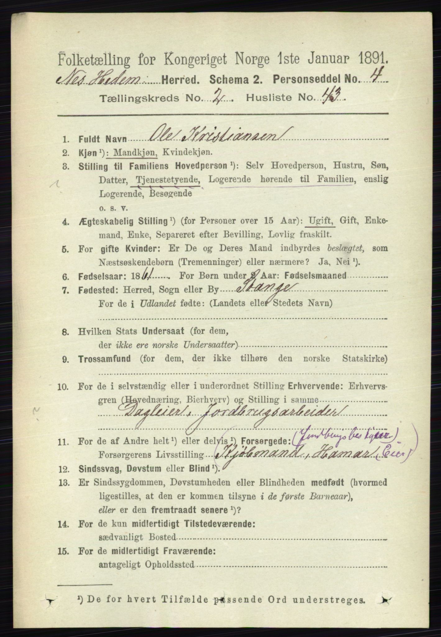 RA, 1891 census for 0411 Nes, 1891, p. 1388