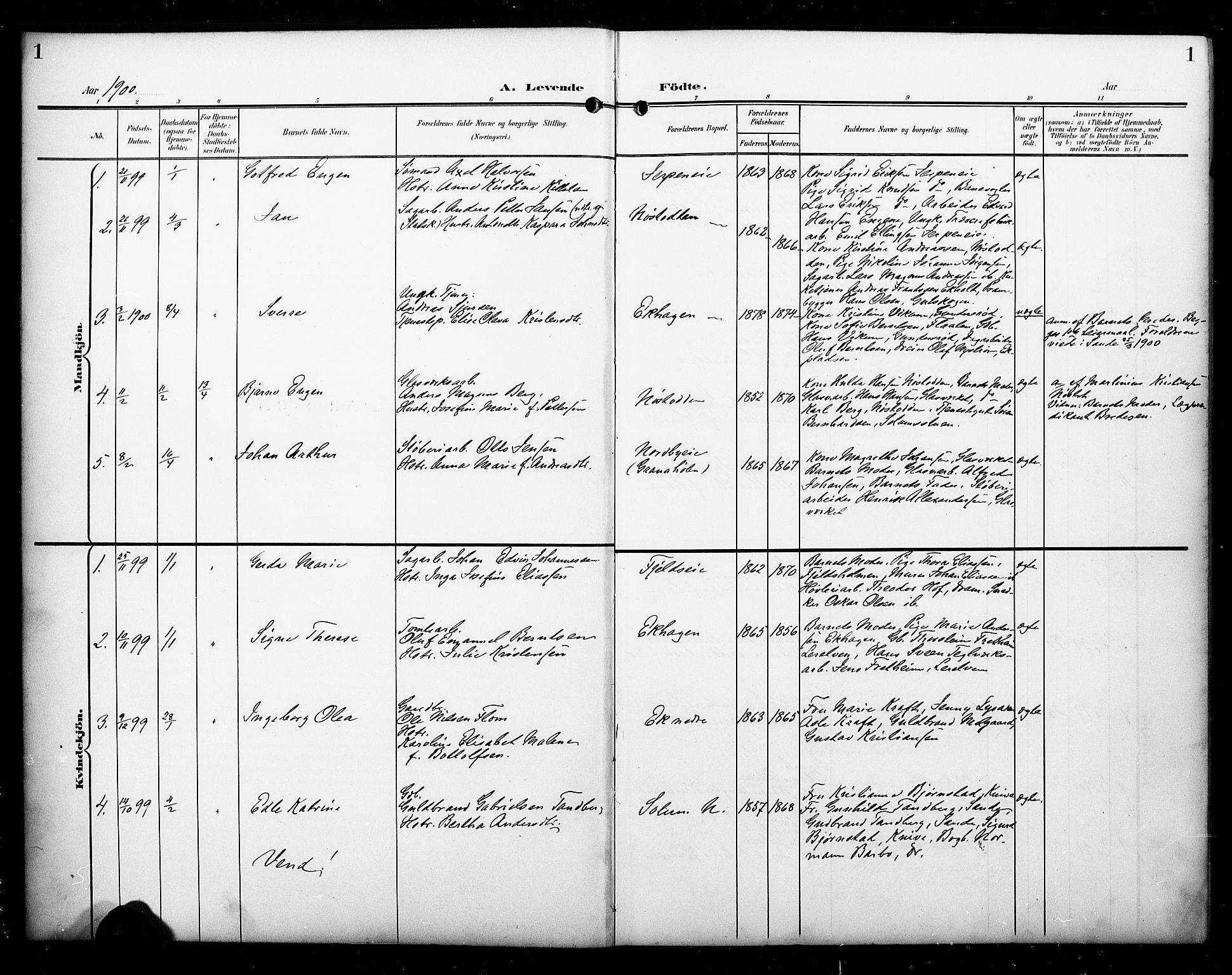 Skoger kirkebøker, AV/SAKO-A-59/G/Ga/L0003: Parish register (copy) no. I 3, 1900-1927, p. 1