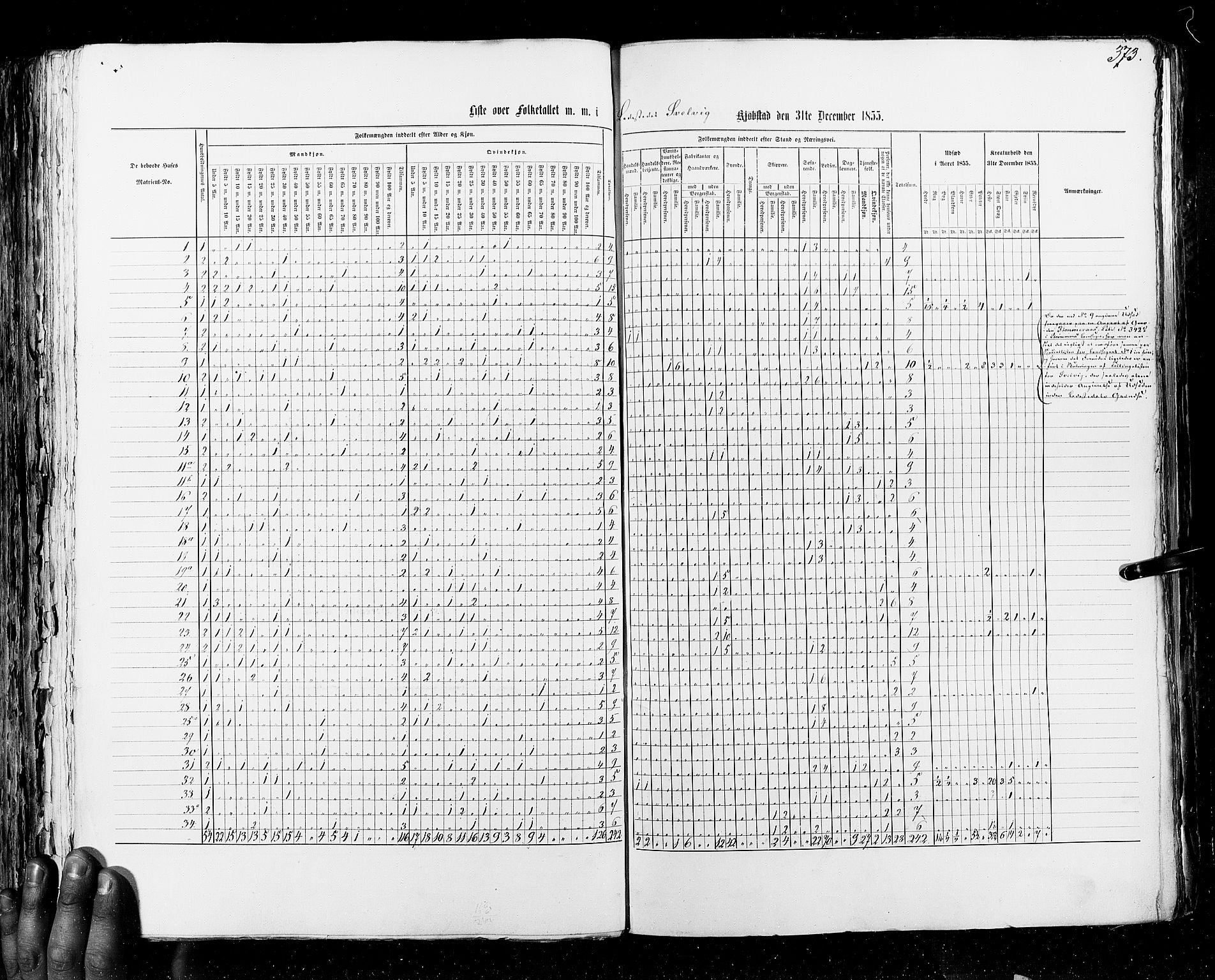 RA, Census 1855, vol. 7: Fredrikshald-Kragerø, 1855, p. 373