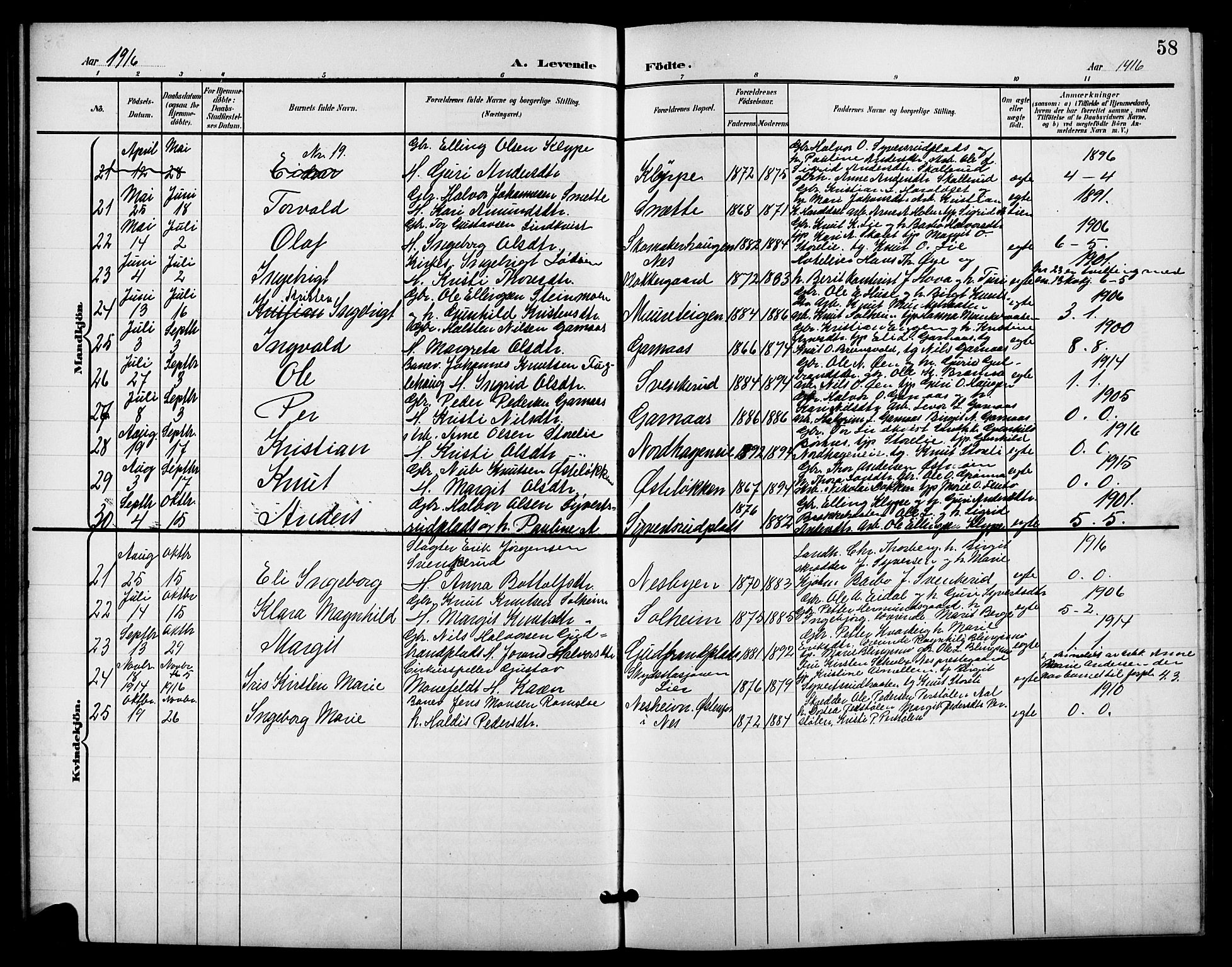 Nes kirkebøker, AV/SAKO-A-236/G/Ga/L0004: Parish register (copy) no. I 4, 1900-1925, p. 58