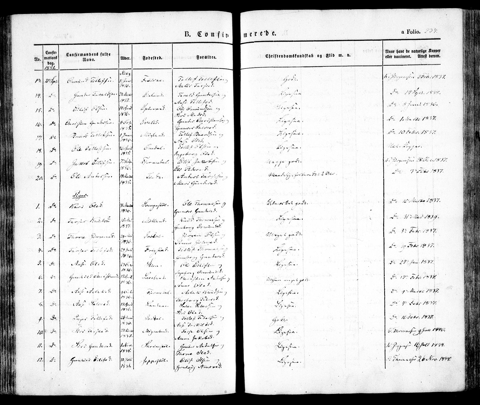 Evje sokneprestkontor, AV/SAK-1111-0008/F/Fa/Faa/L0005: Parish register (official) no. A 5, 1843-1865, p. 234