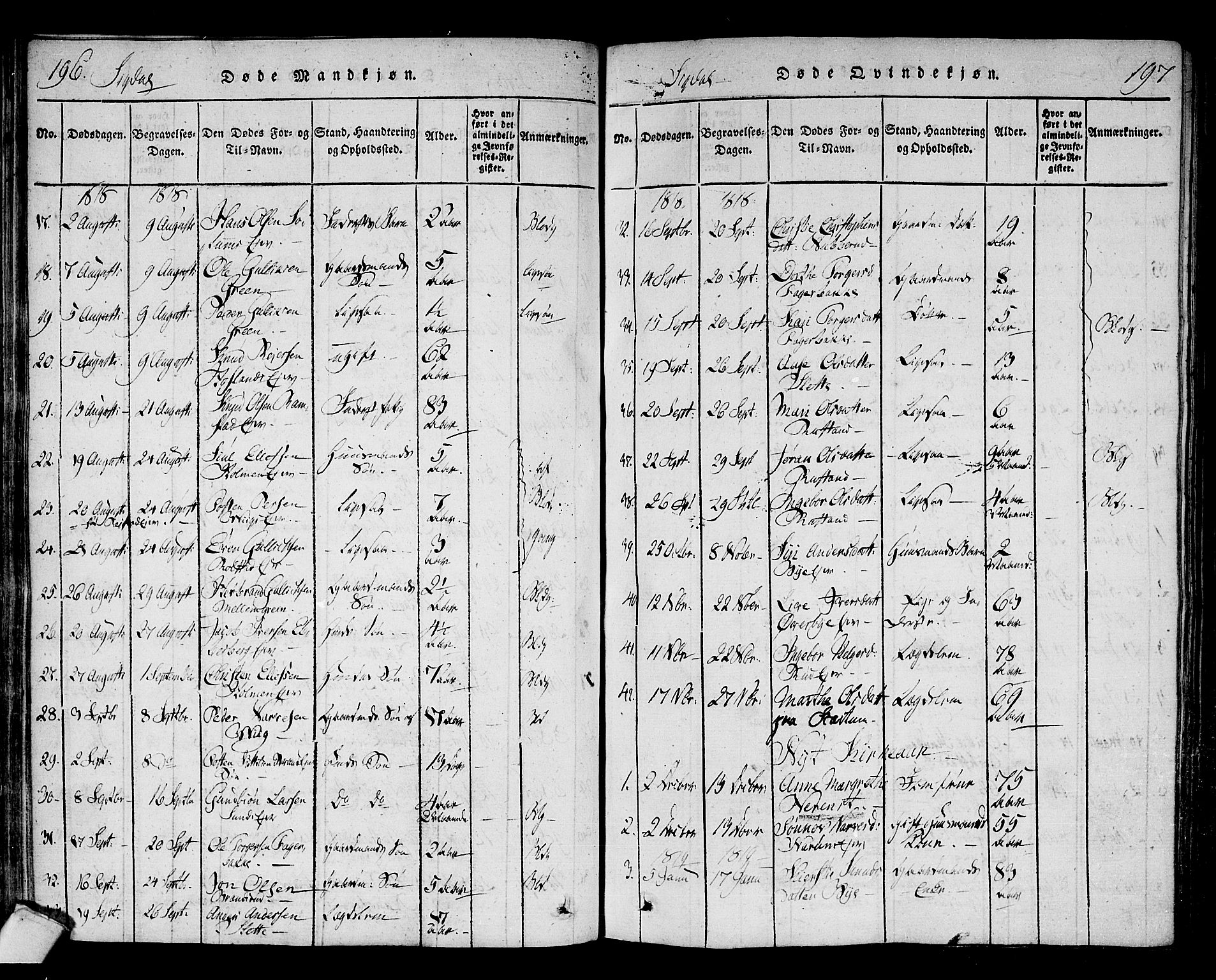 Sigdal kirkebøker, SAKO/A-245/F/Fa/L0005: Parish register (official) no. I 5 /1, 1815-1829, p. 196-197