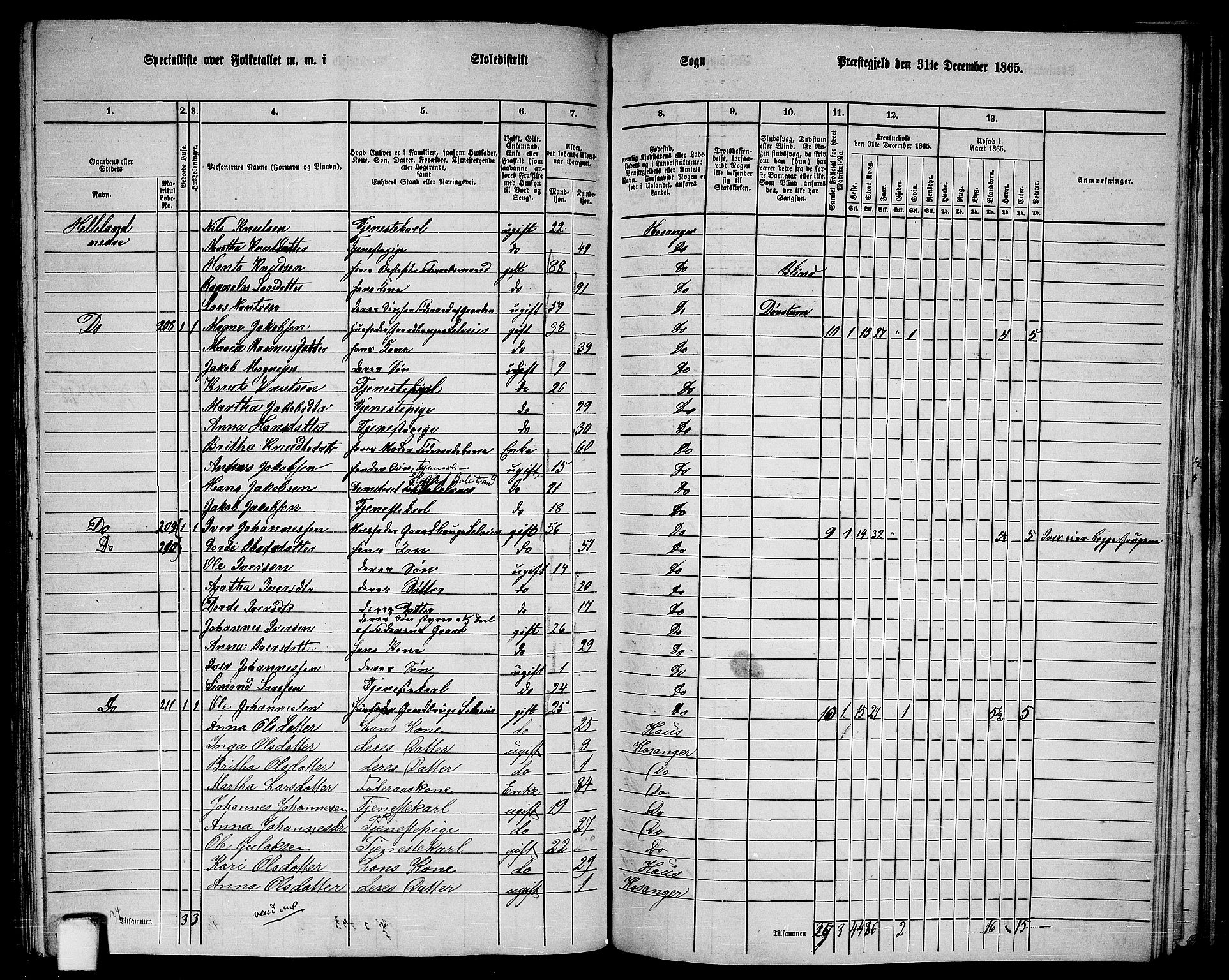 RA, 1865 census for Hosanger, 1865, p. 132